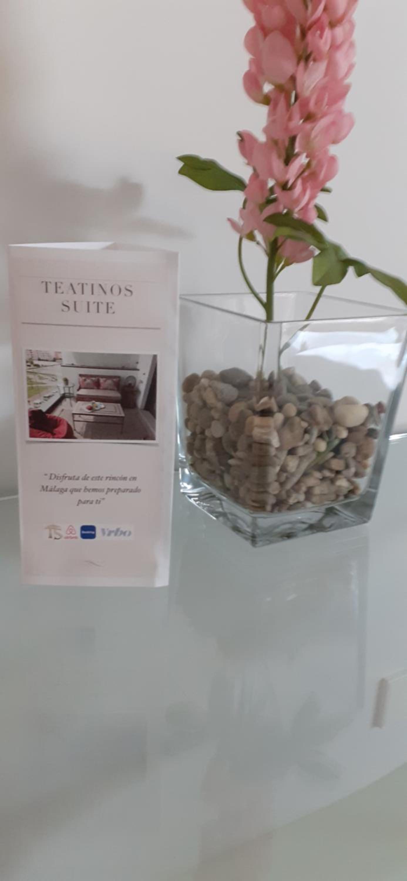 Teatinos Suite