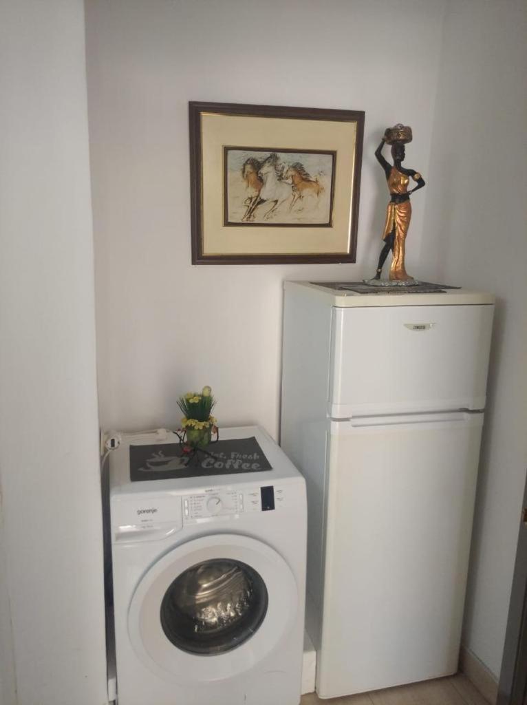 Apartament Rinia in Pogradec