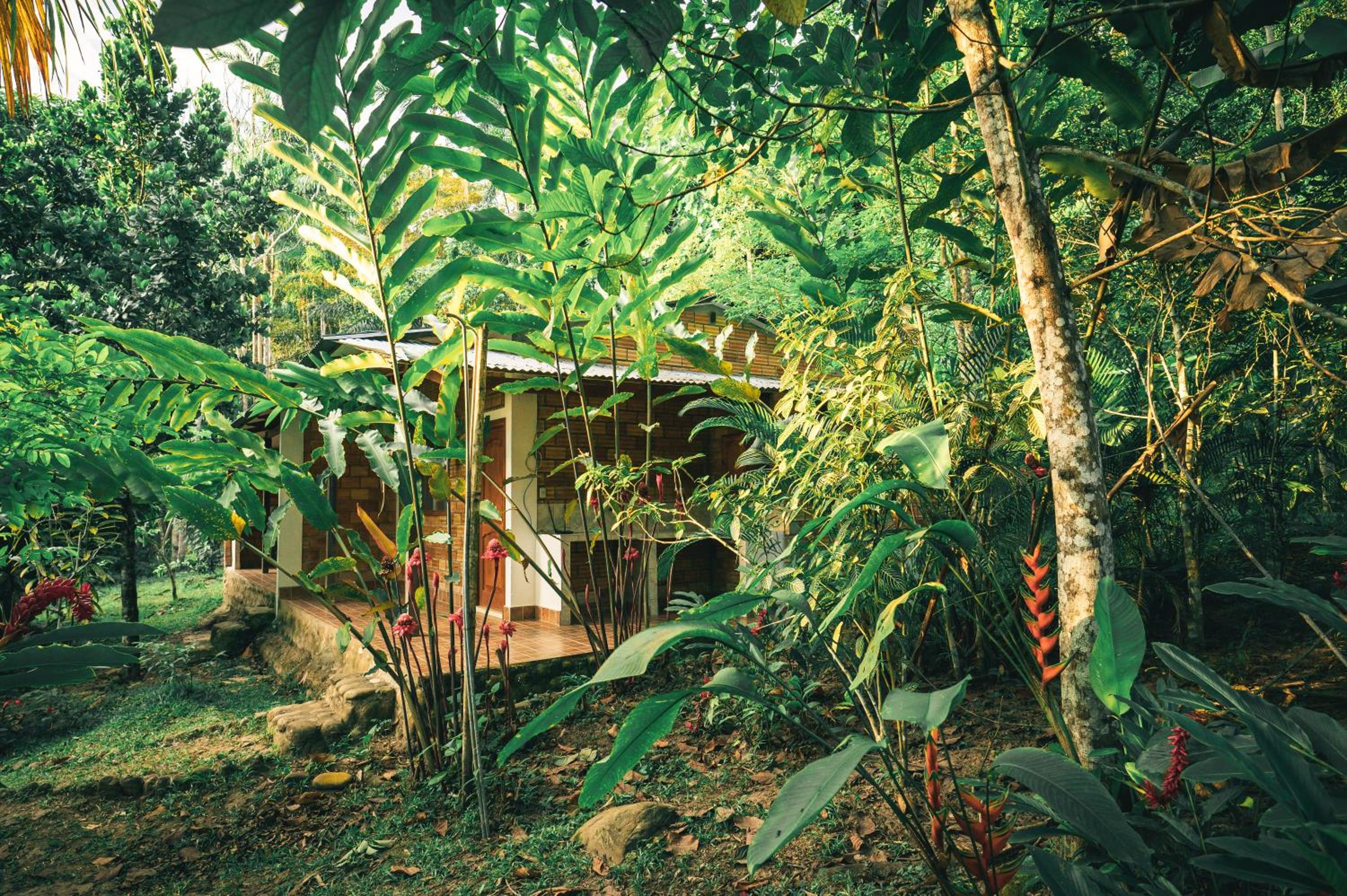 Huingos Eco Lodge