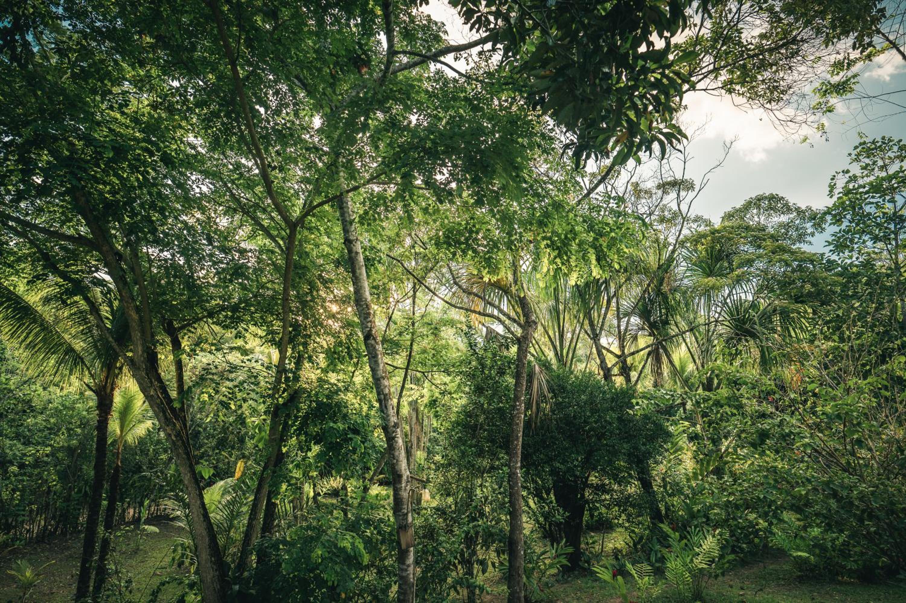 Huingos Eco Lodge