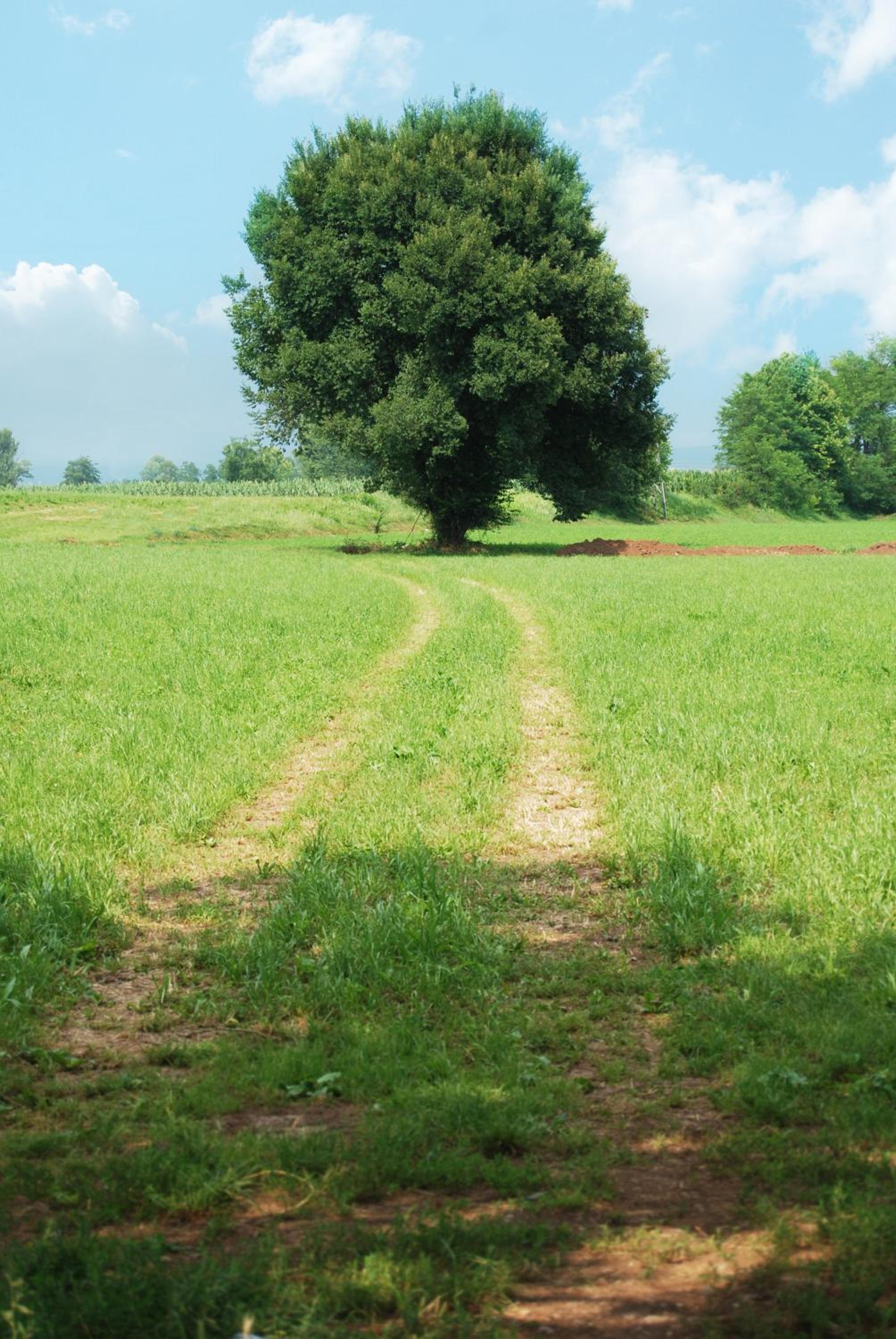 Agriturismo Parco Del Chiese, photo 31