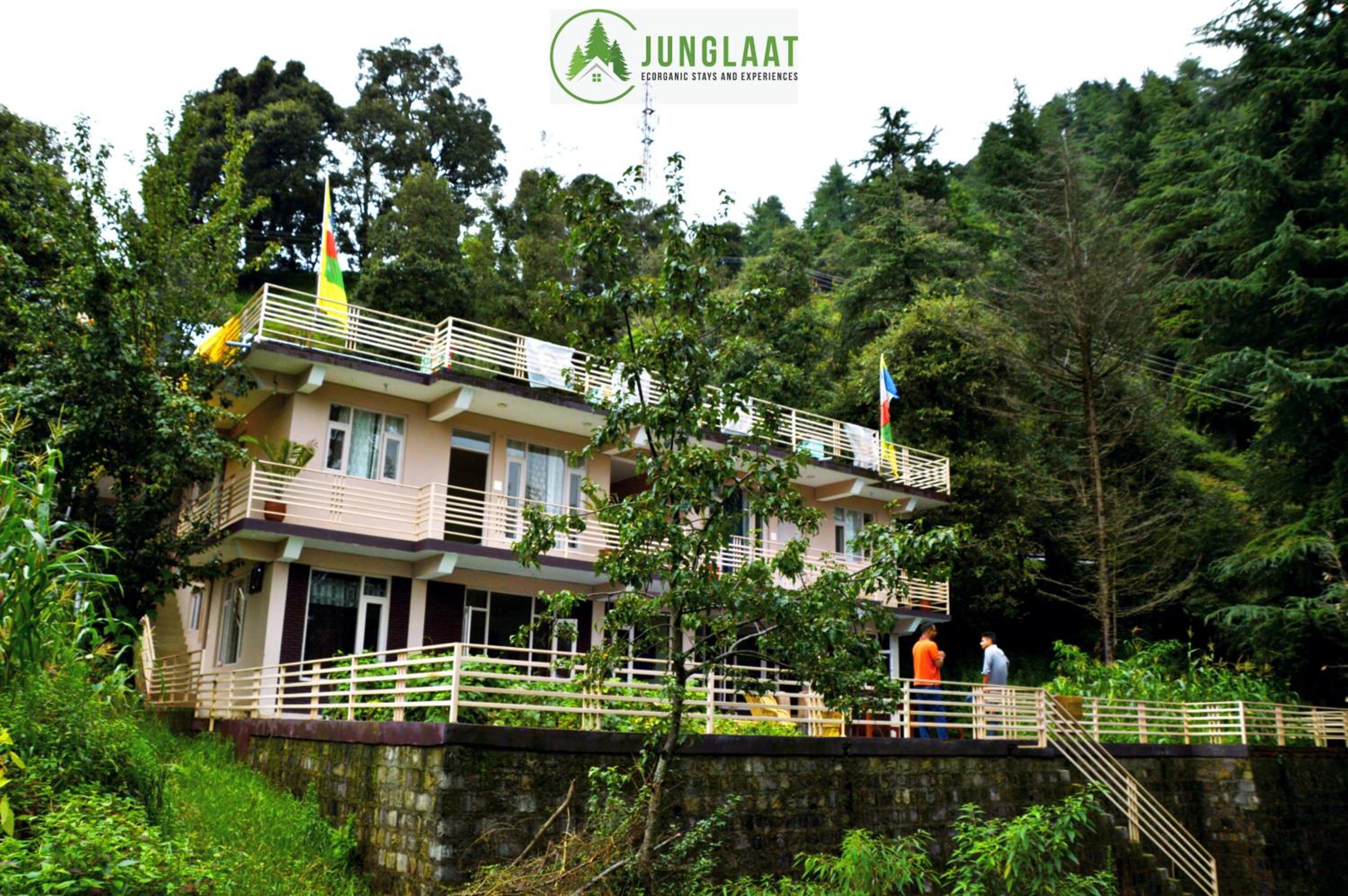 Junglaat Stays & Experiences view 4