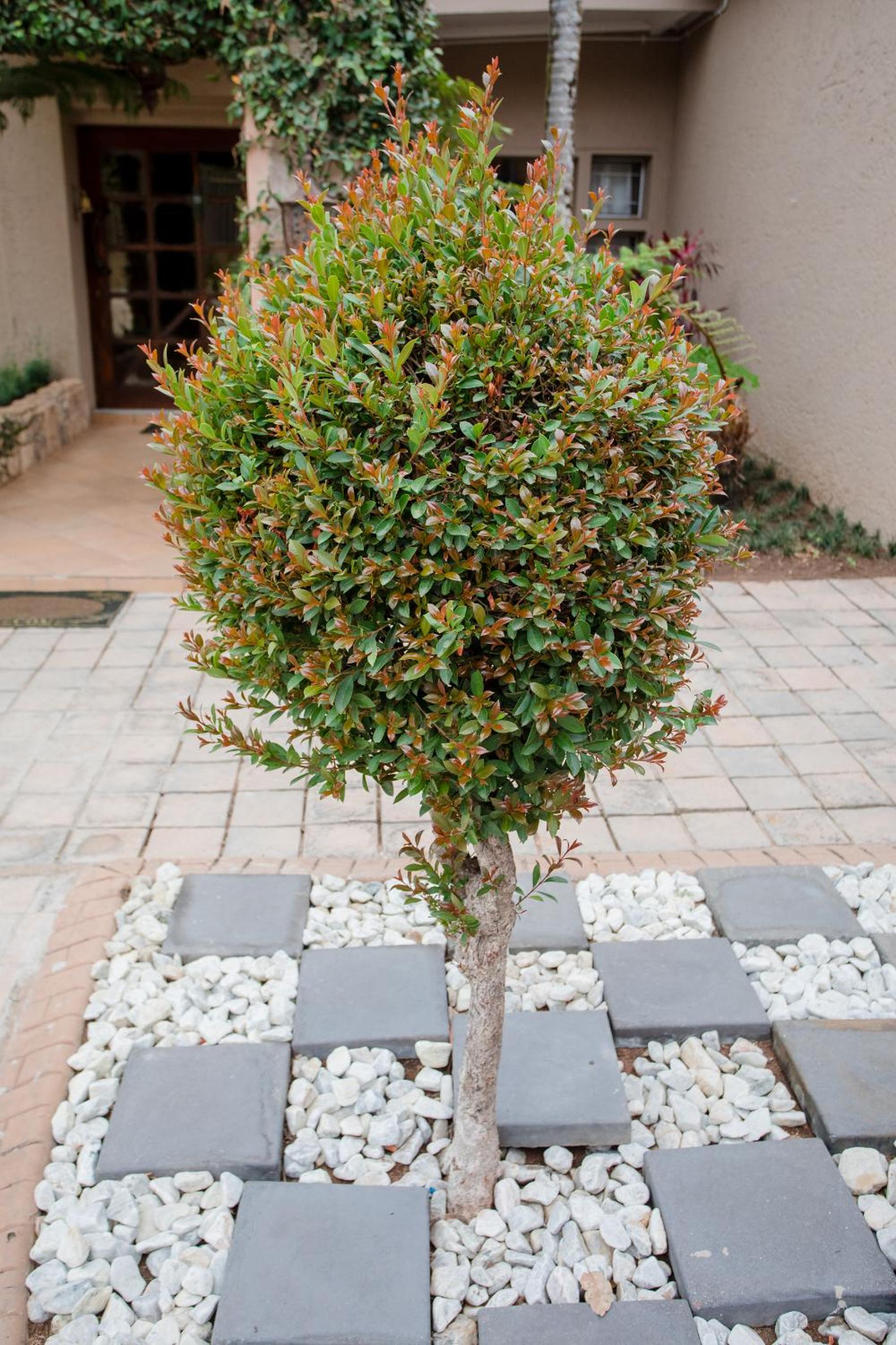 Photo 40