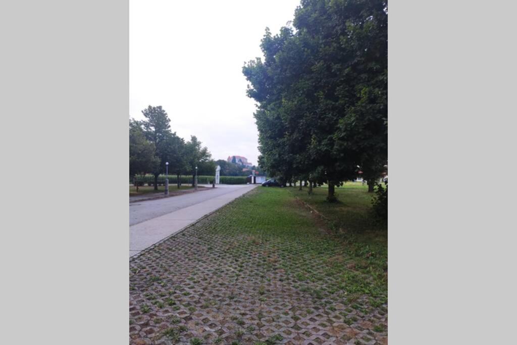 Studio apartment Iris en Ptuj