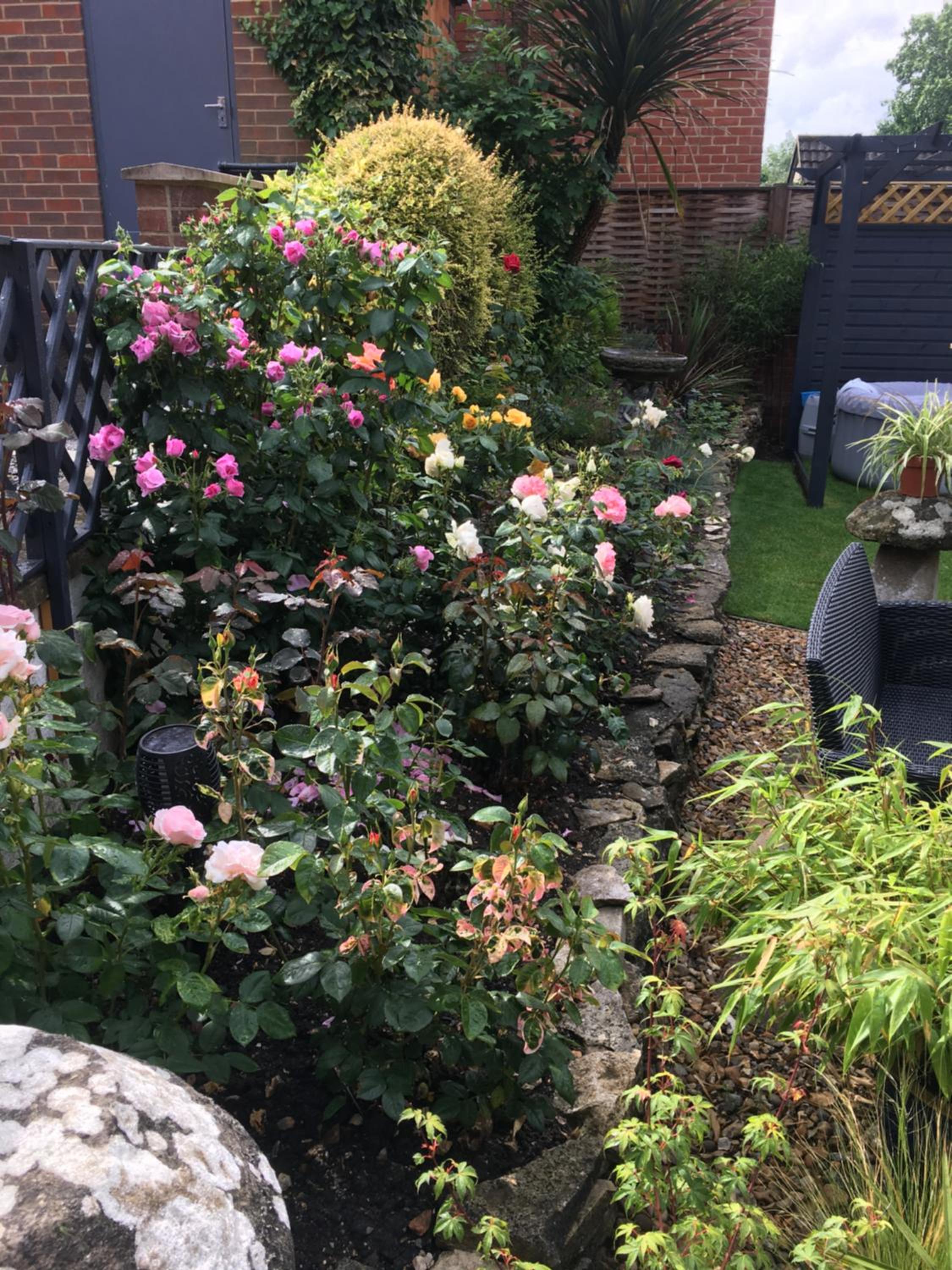 Photo 22
