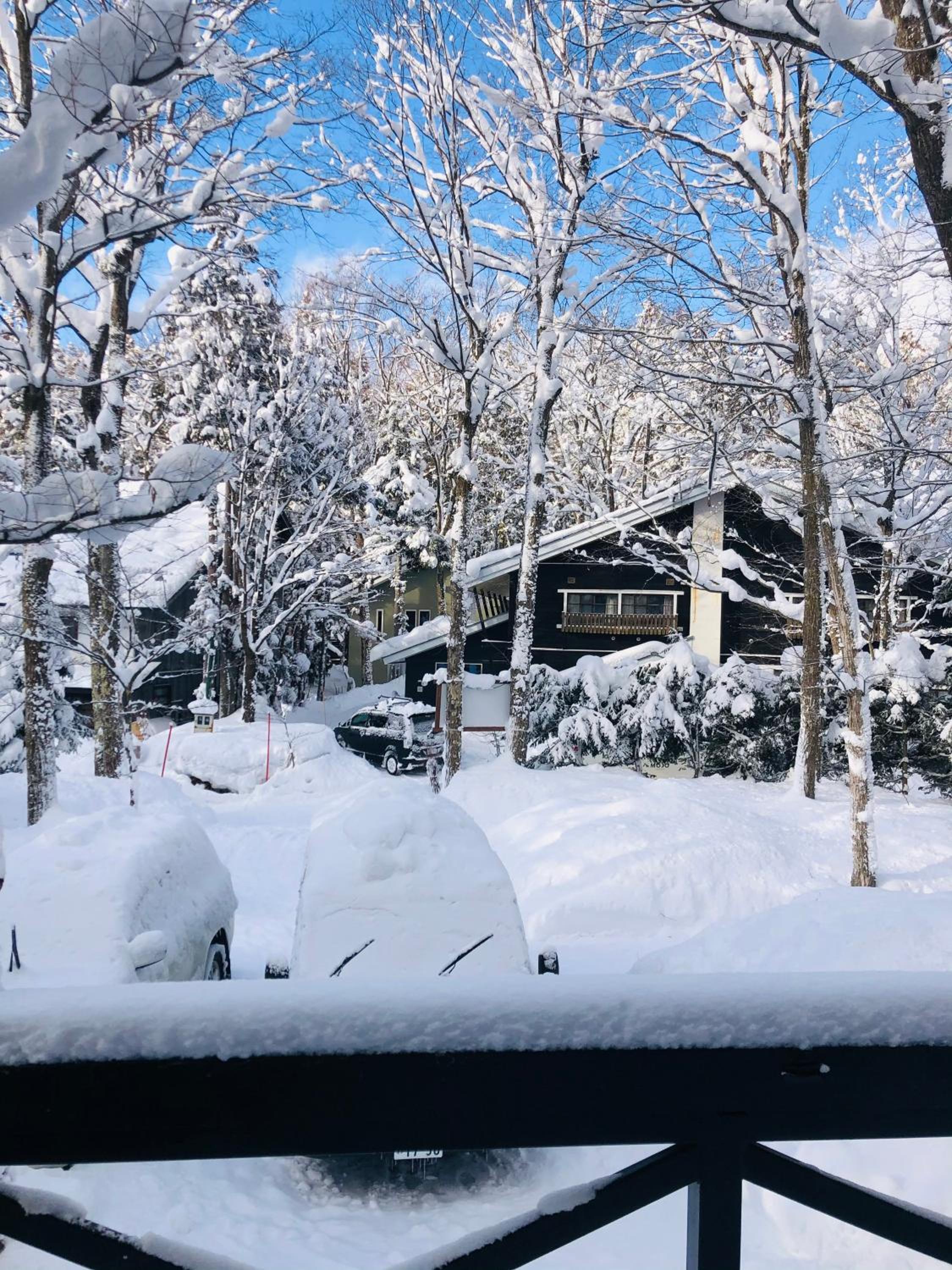 The Guest House Japan Hakuba
