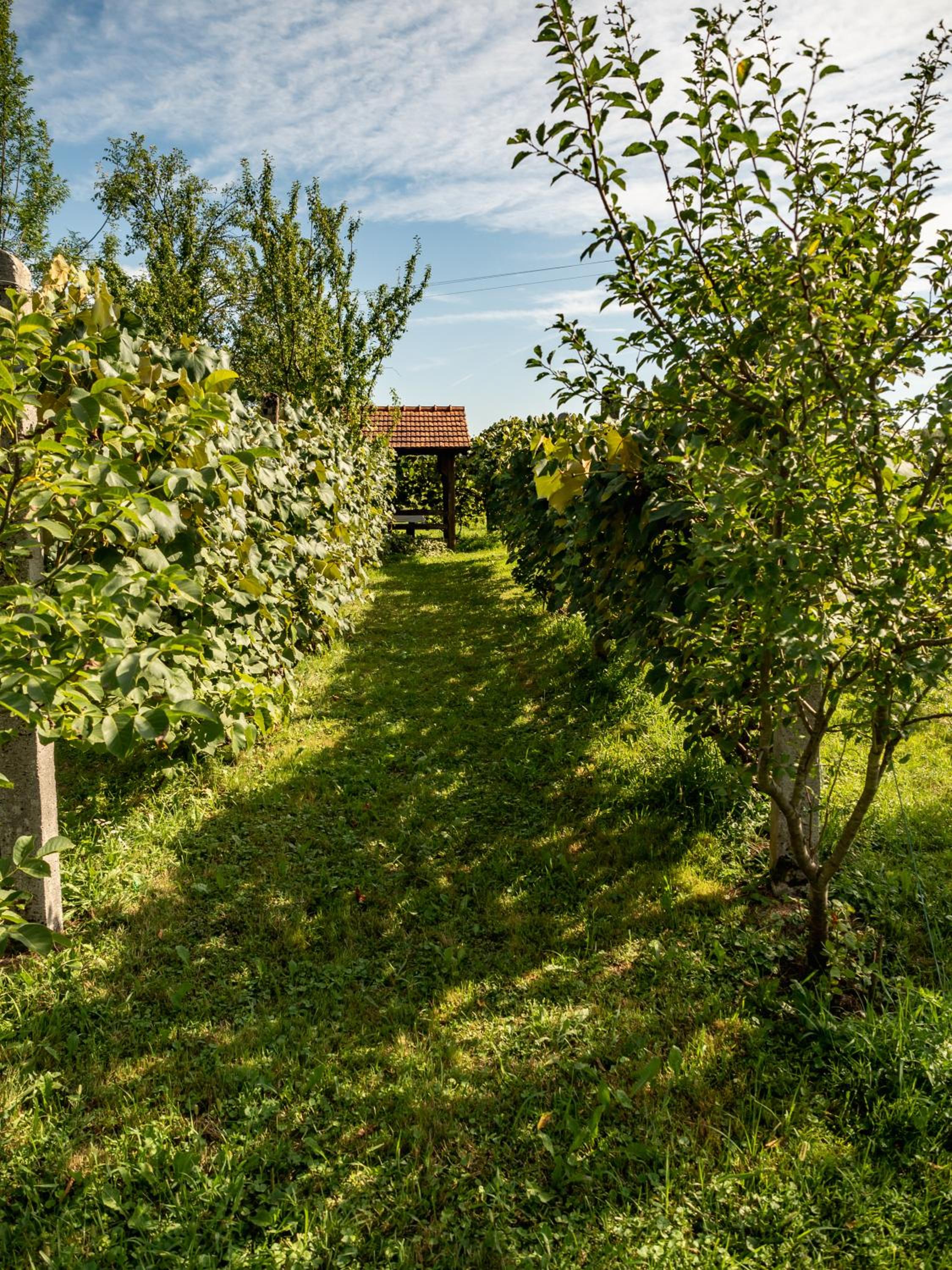 Holiday Home Navis view 5