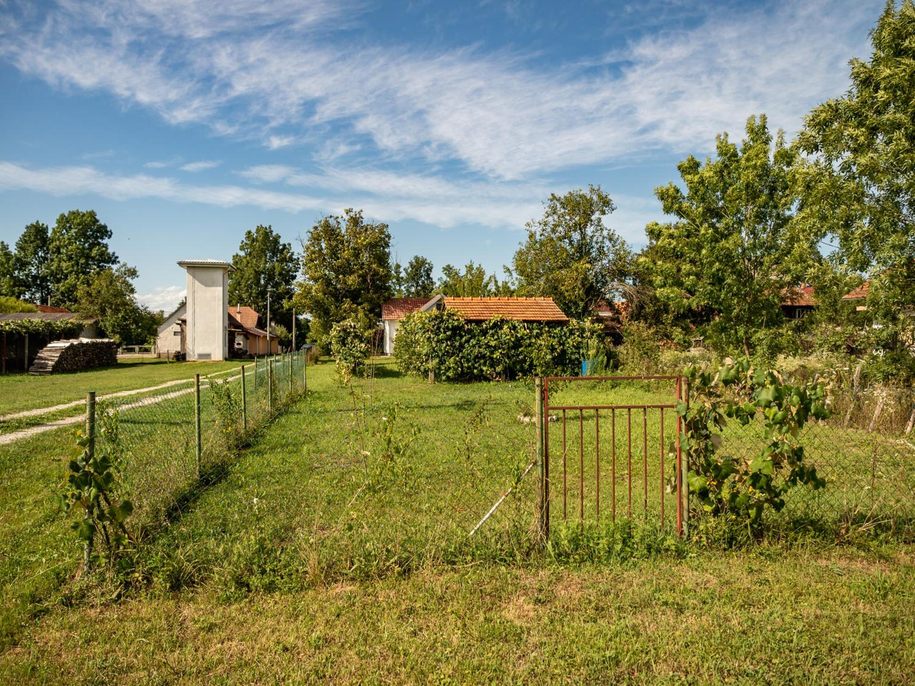 Photo 8
