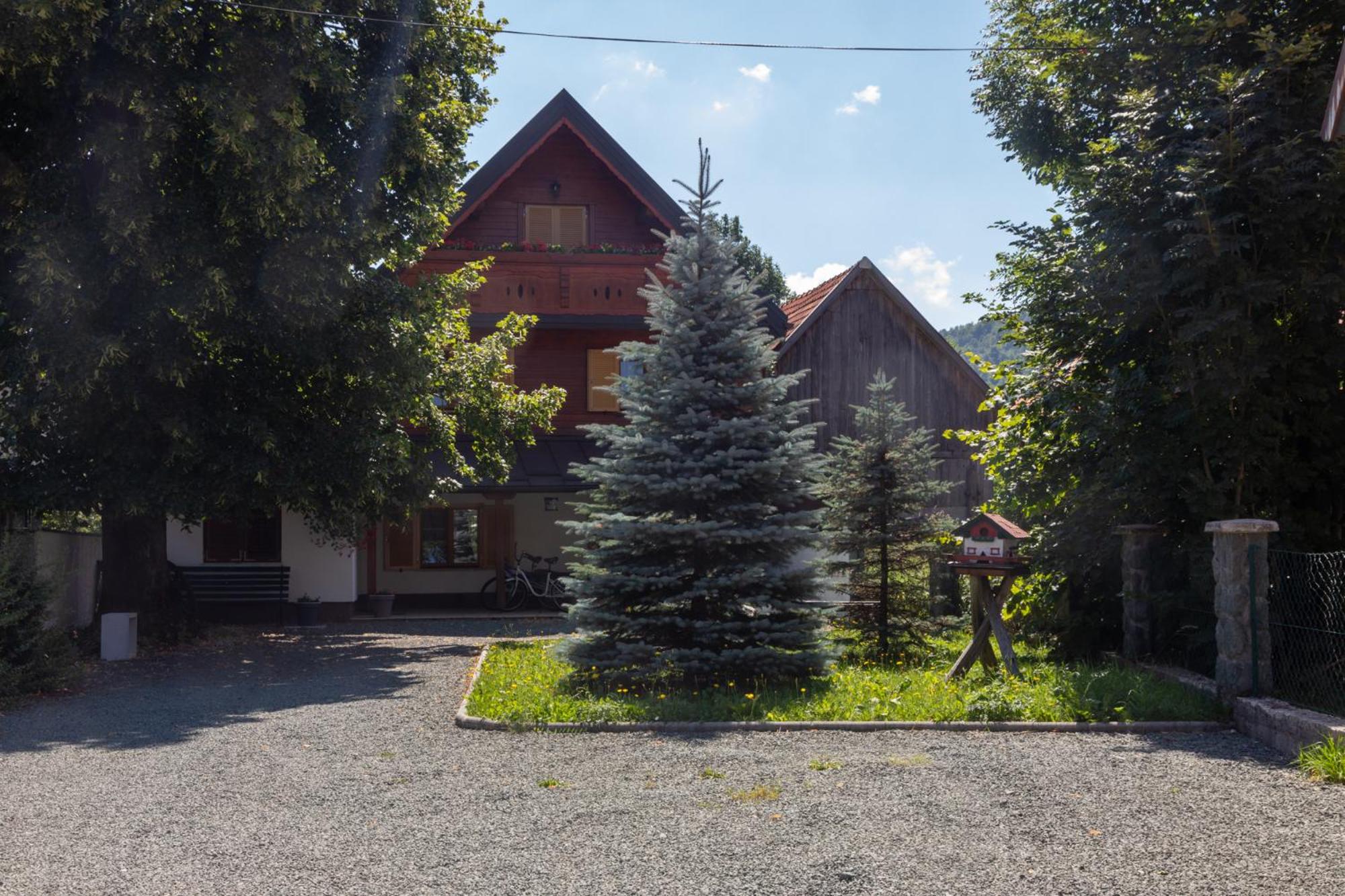 Photo 38