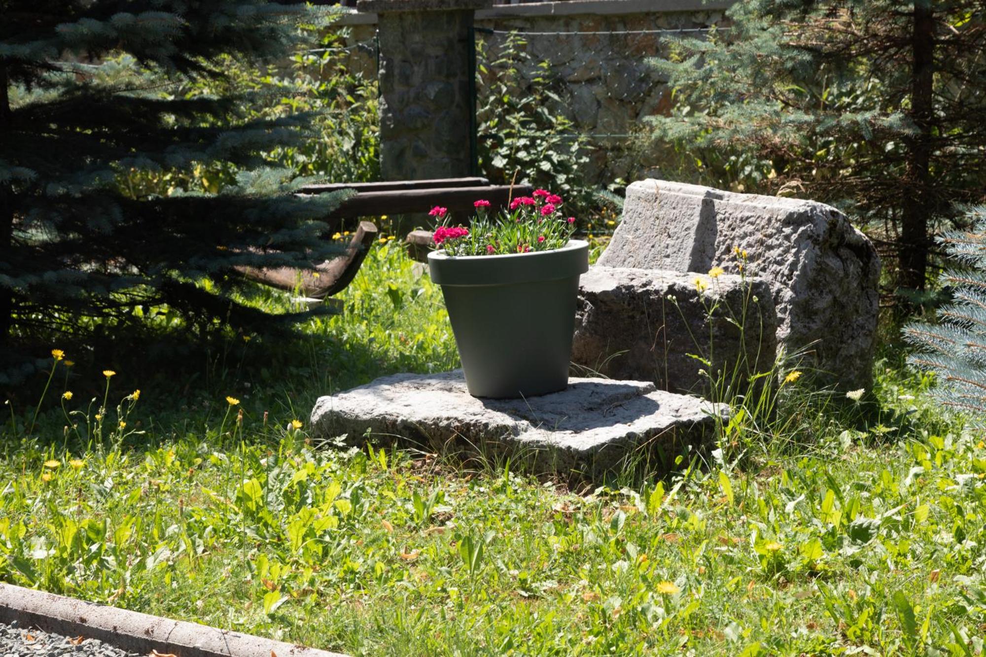 Photo 49