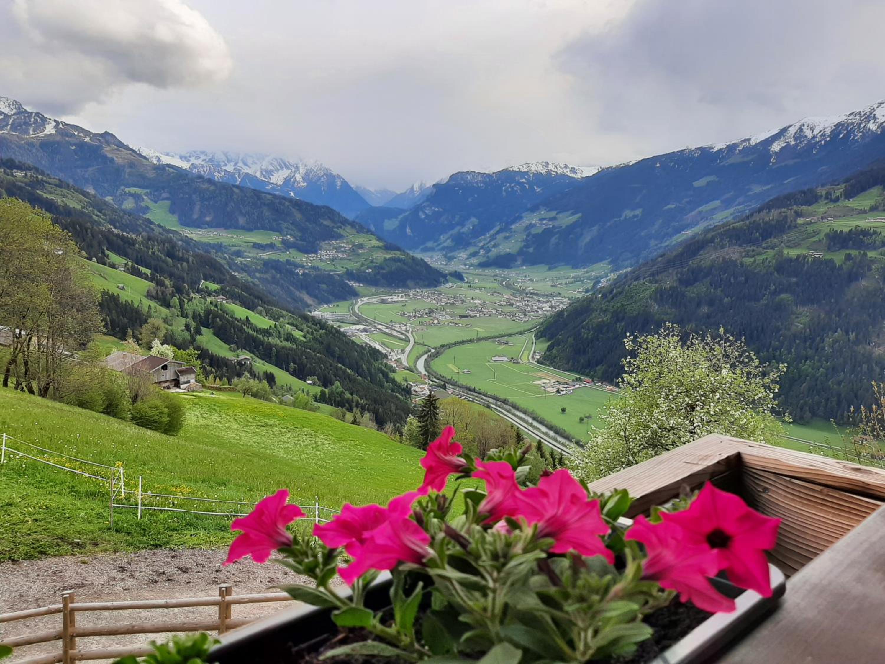 Nesterhof