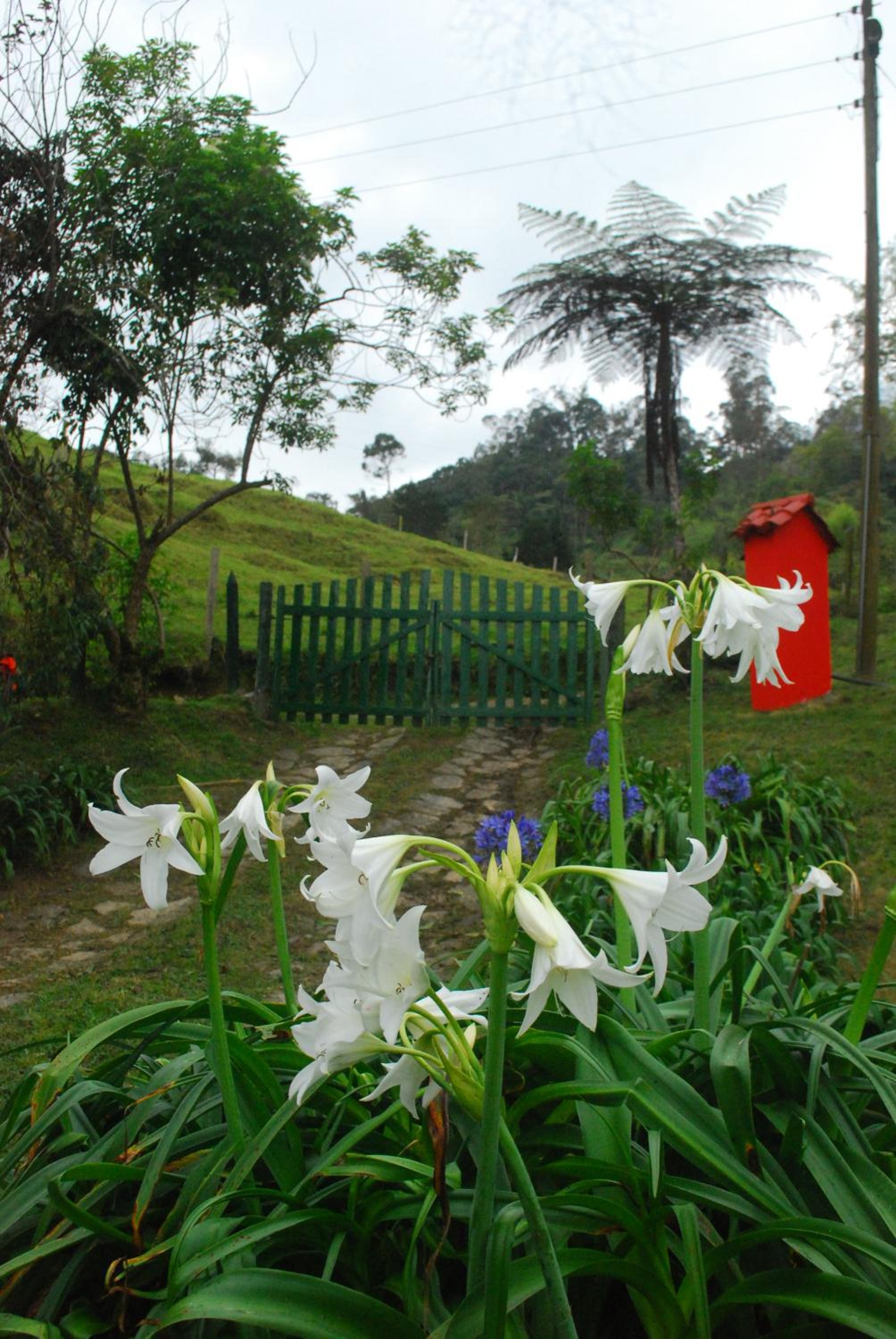 Nuestro Bosque I