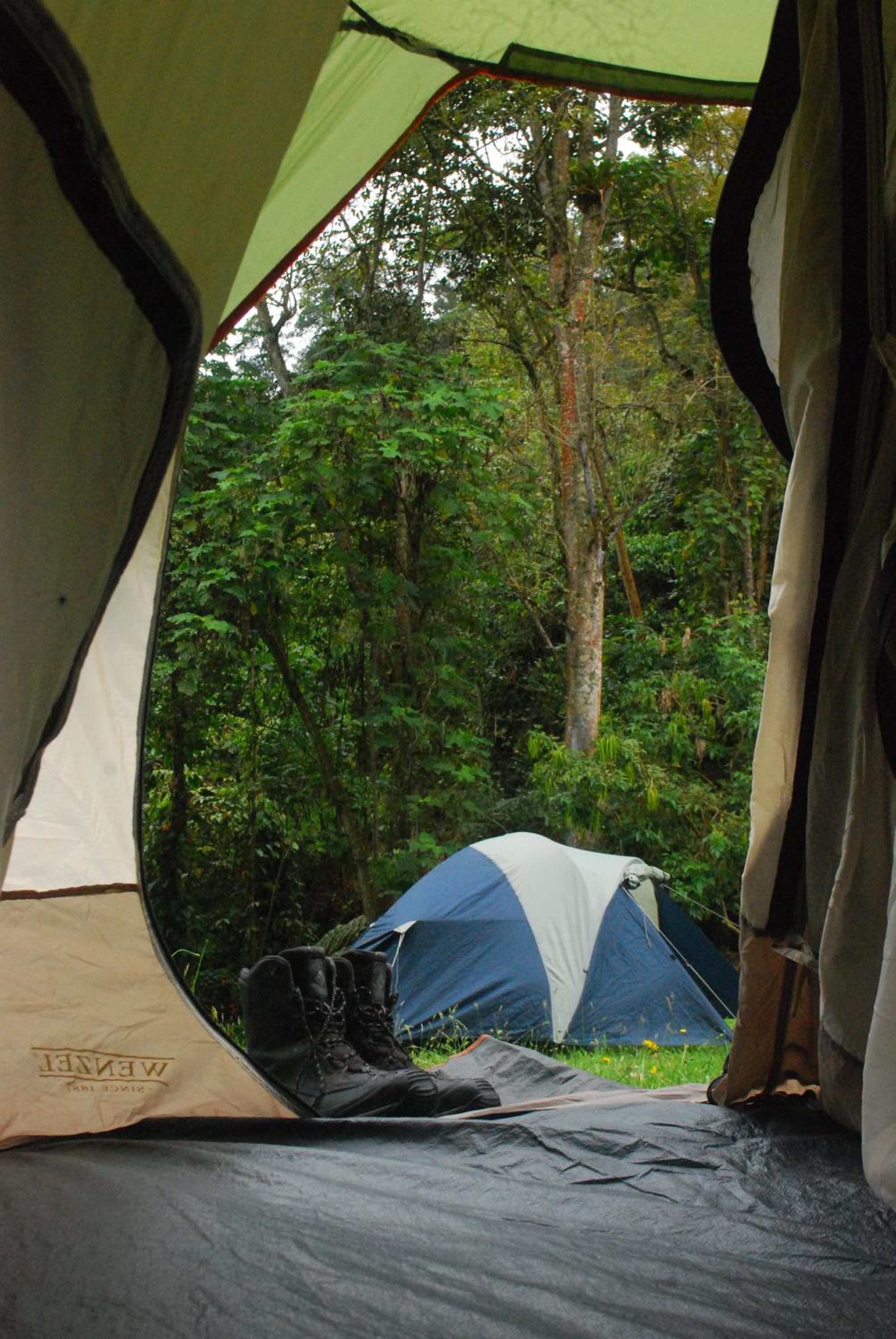 Nuestro Bosque I