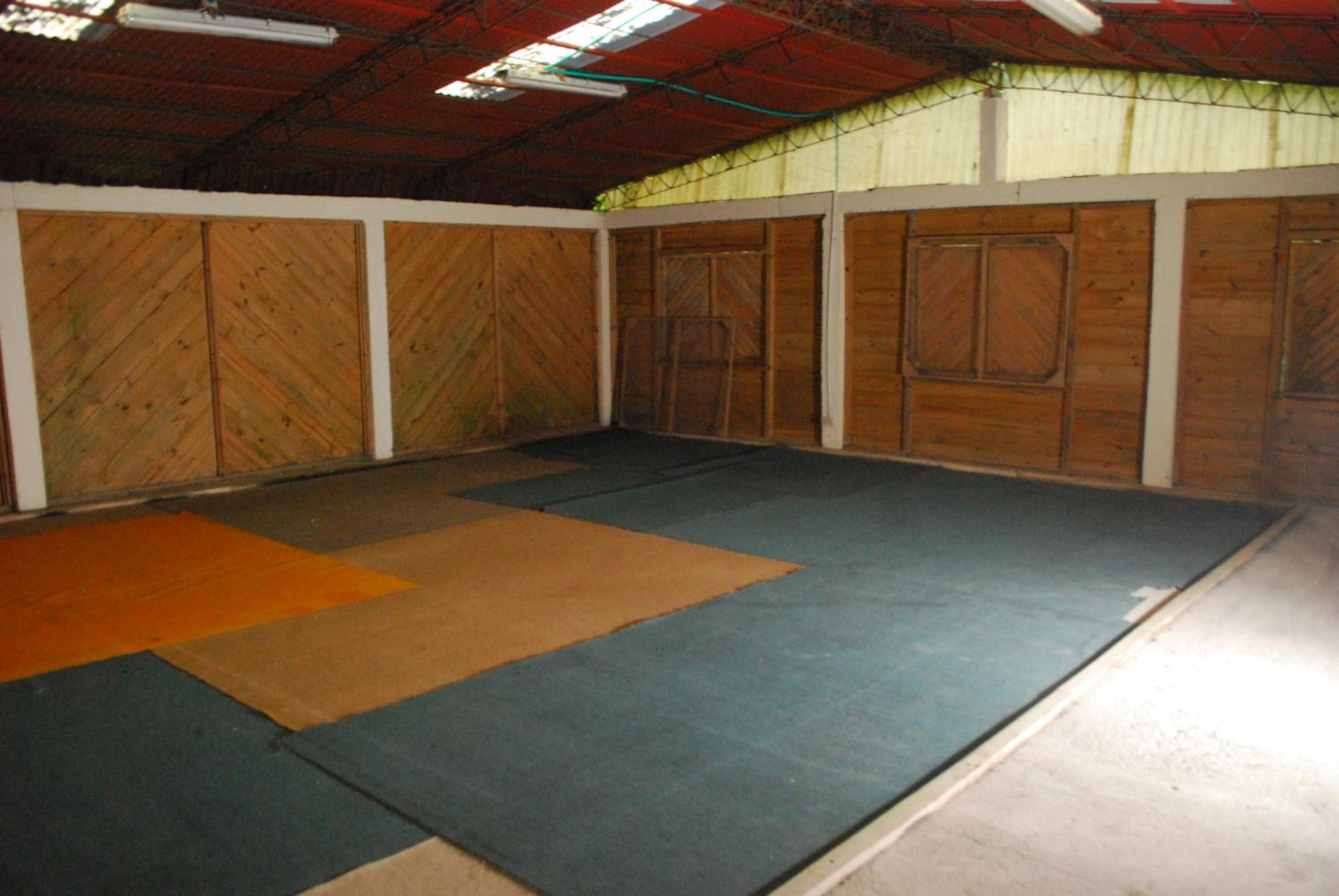 Nuestro Bosque I