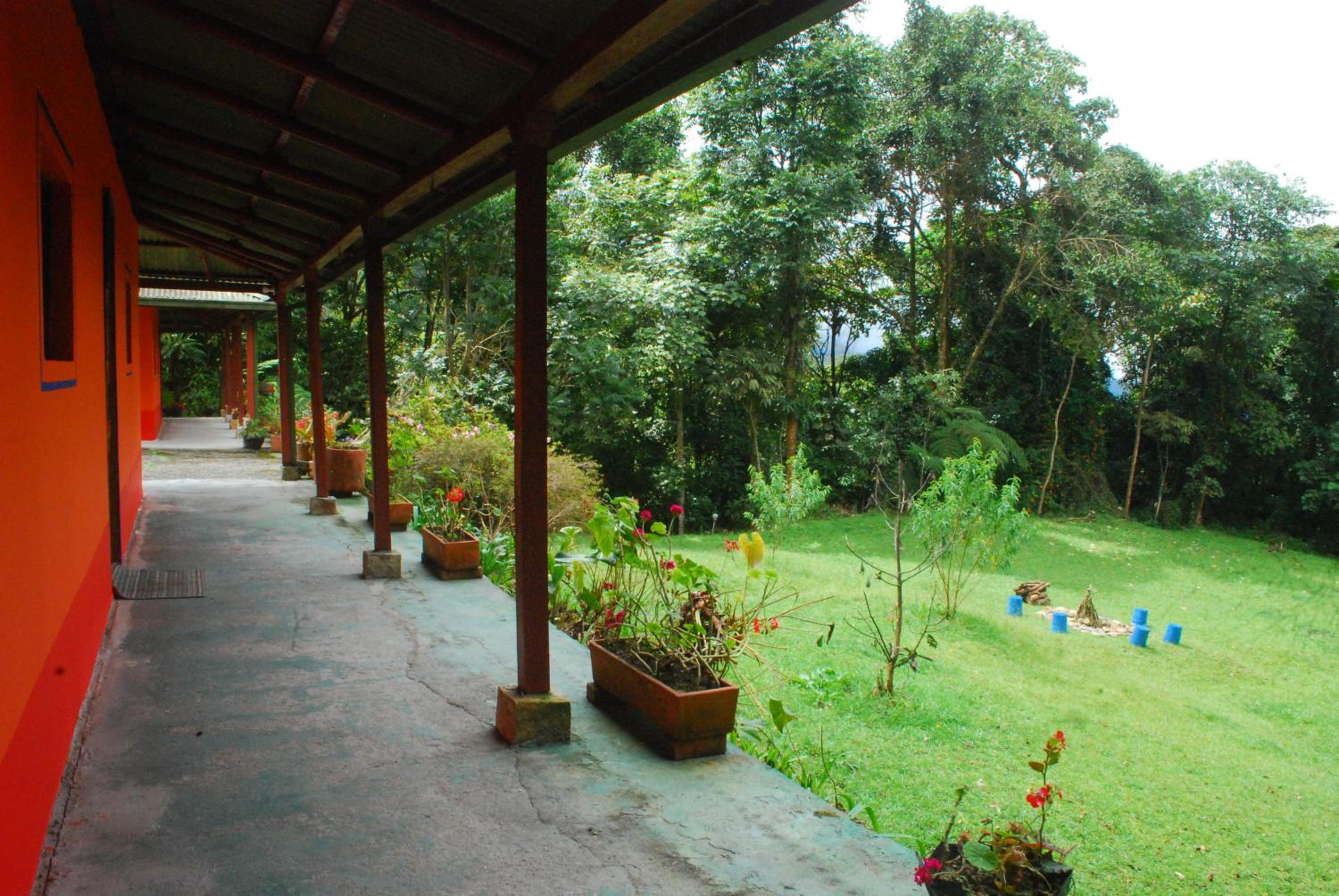 Nuestro Bosque I