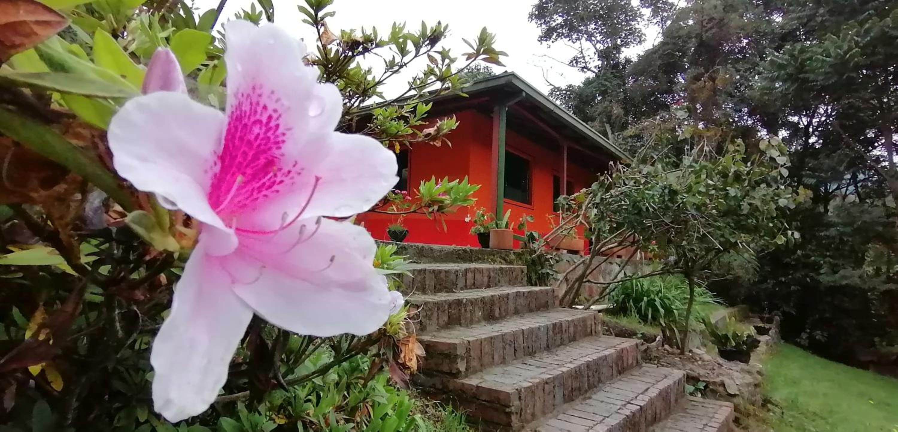 Hotel Nuestro Bosque I - Image 1