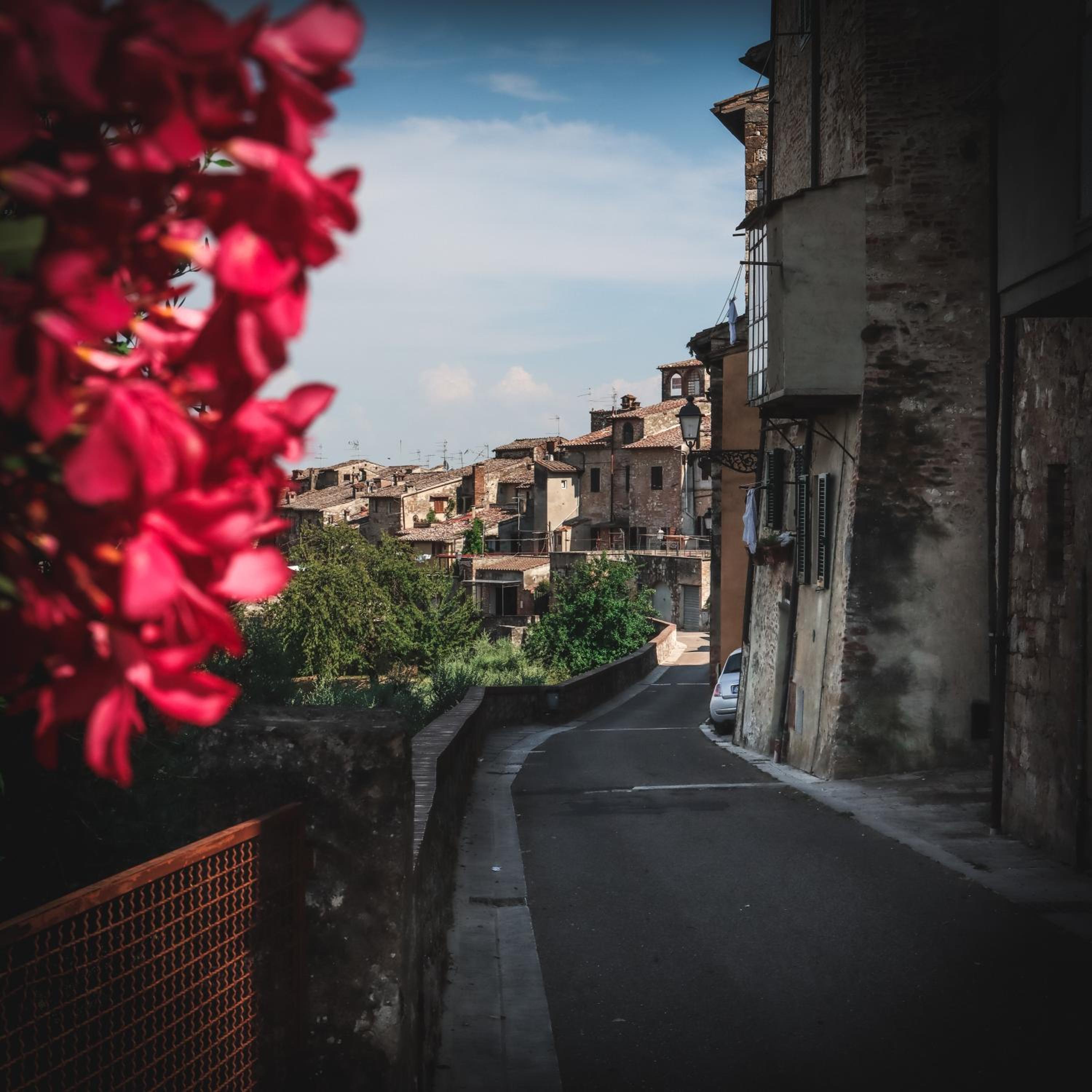 Casa Anna "a lovely home in Tuscany" photo 2