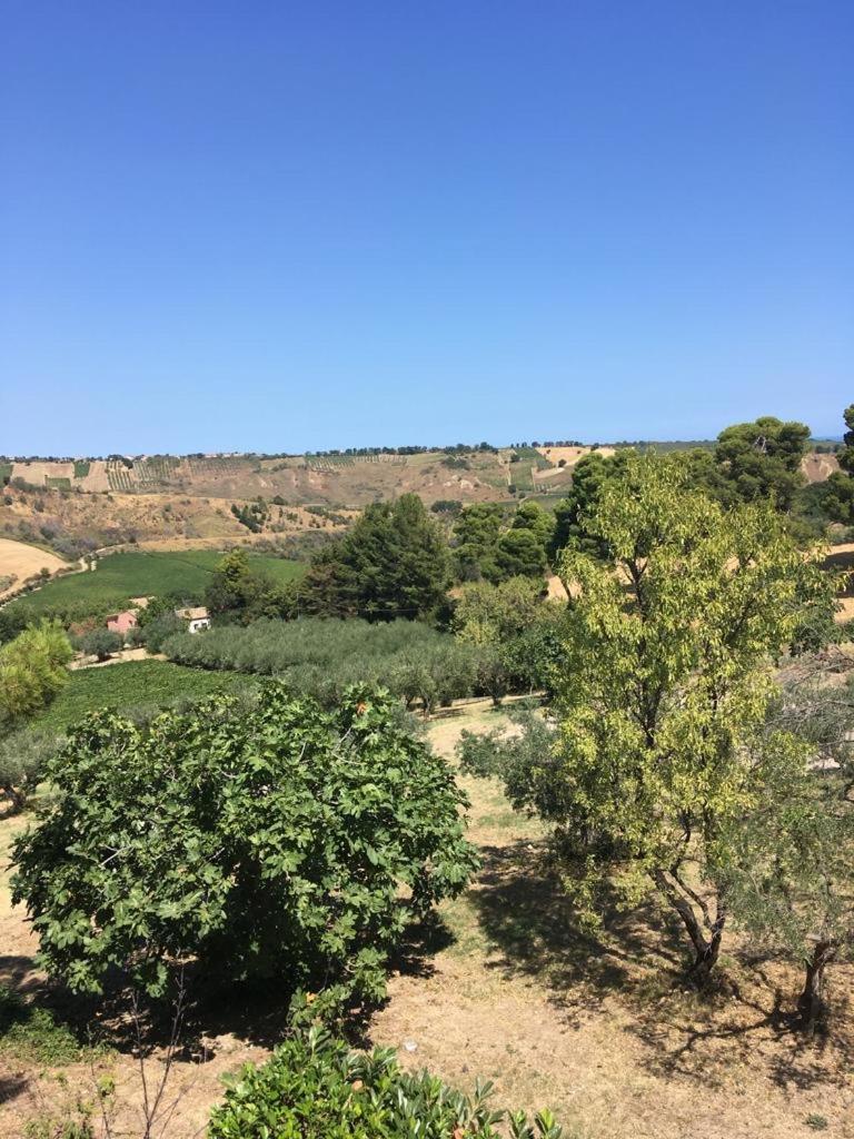 Relax tra campagna, mare e montagna view 4