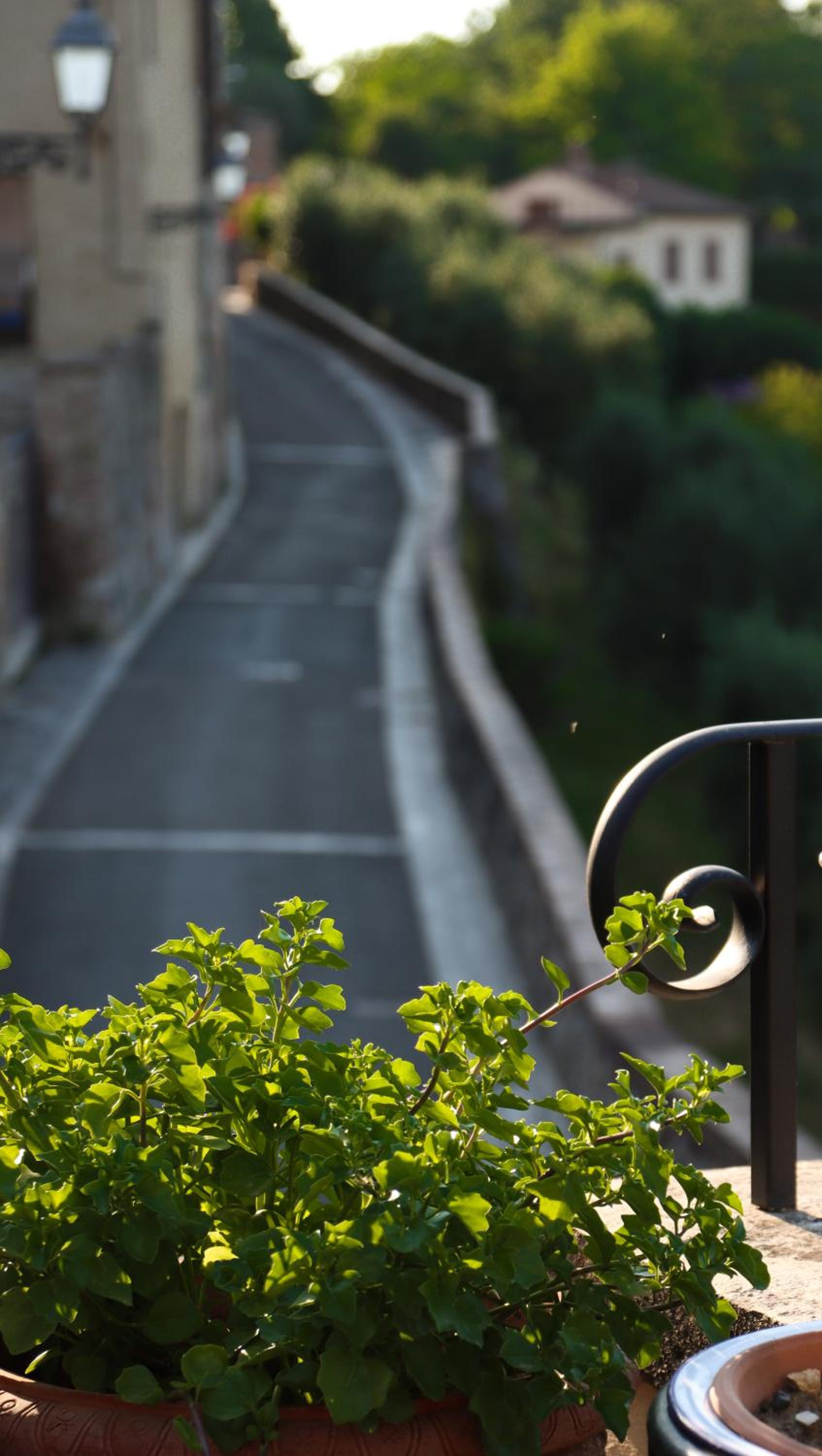 Casa Anna "a lovely home in Tuscany", photo 50