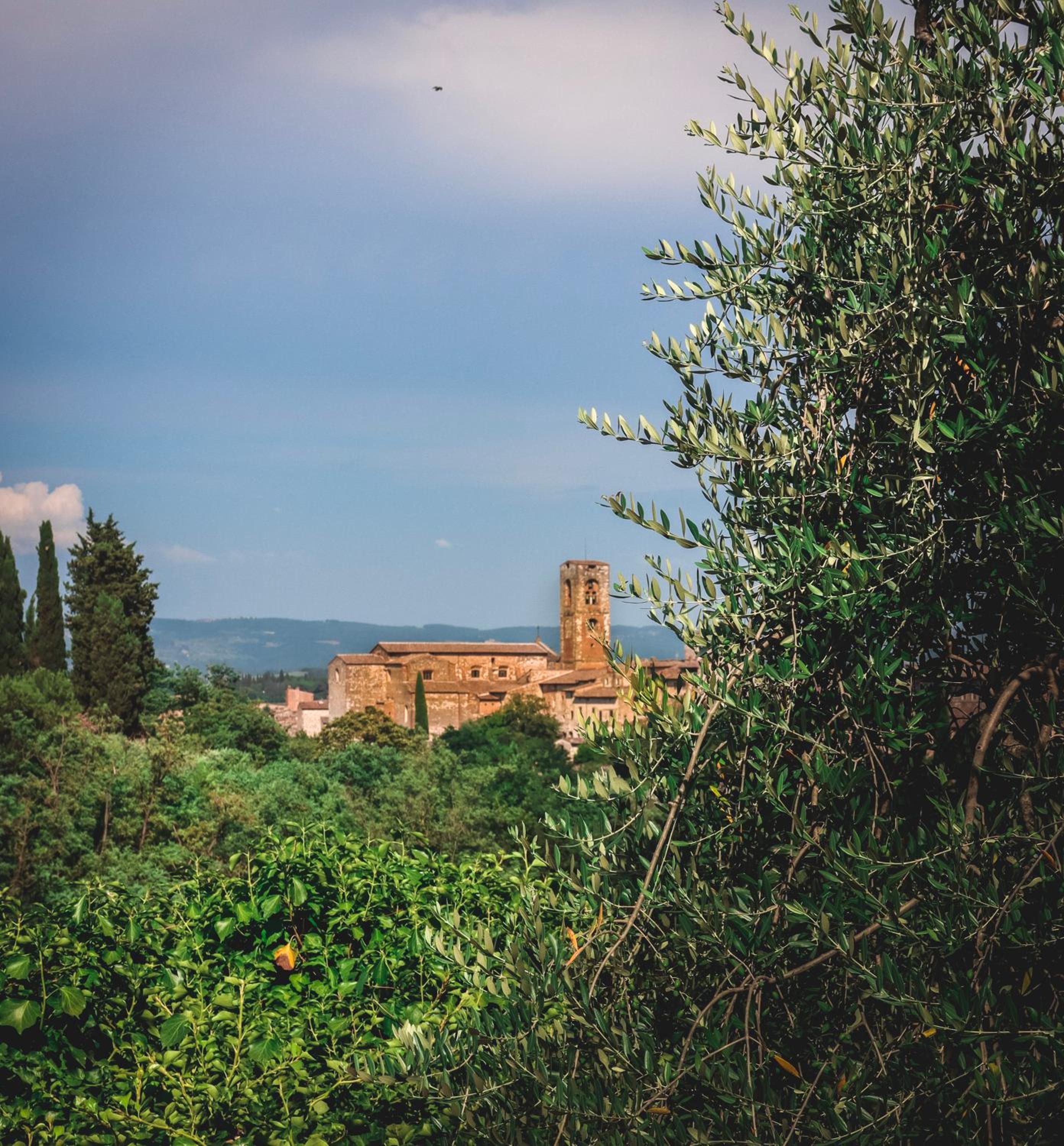 Casa Anna "a lovely home in Tuscany", photo 22