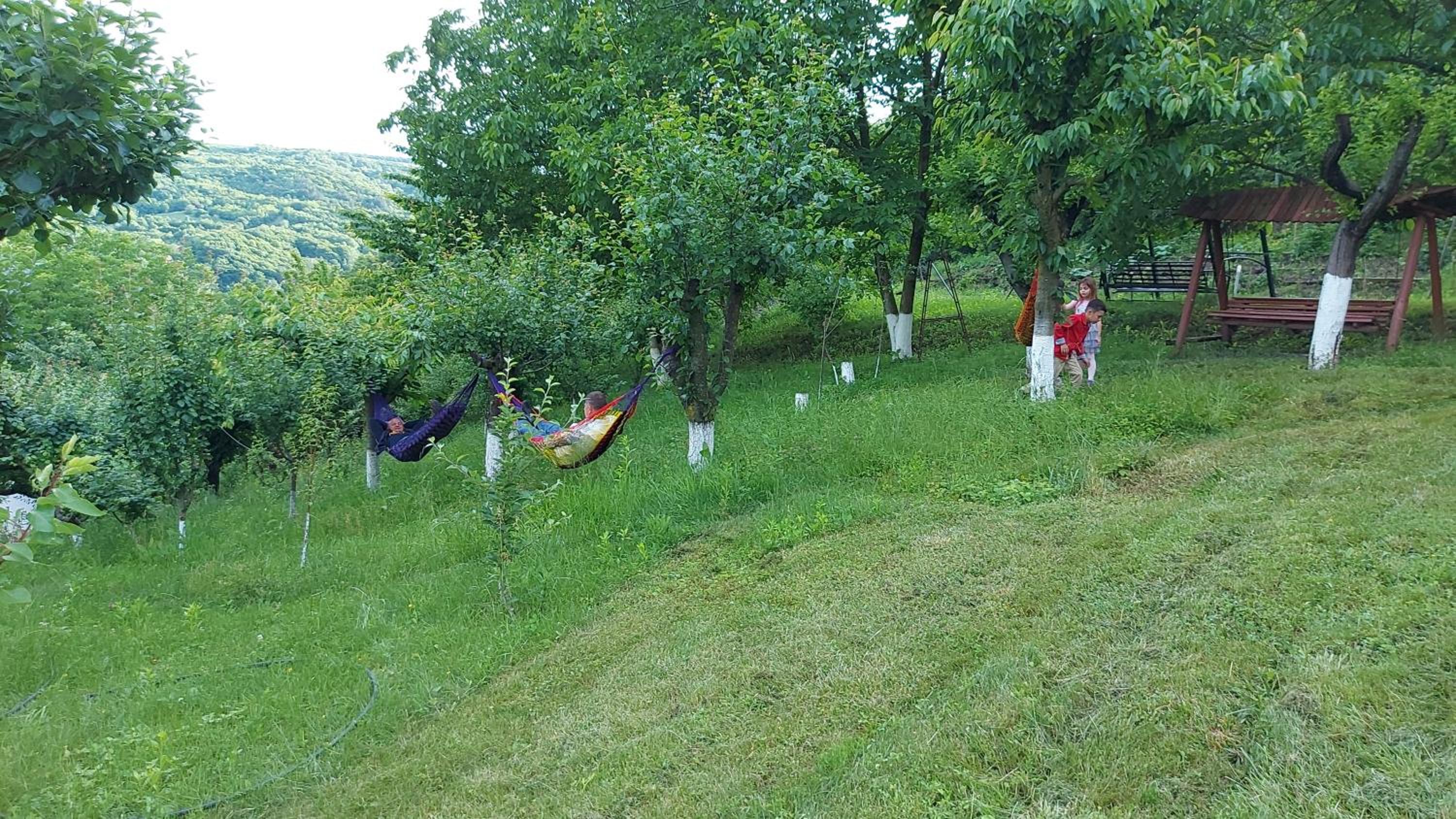 Photo 44