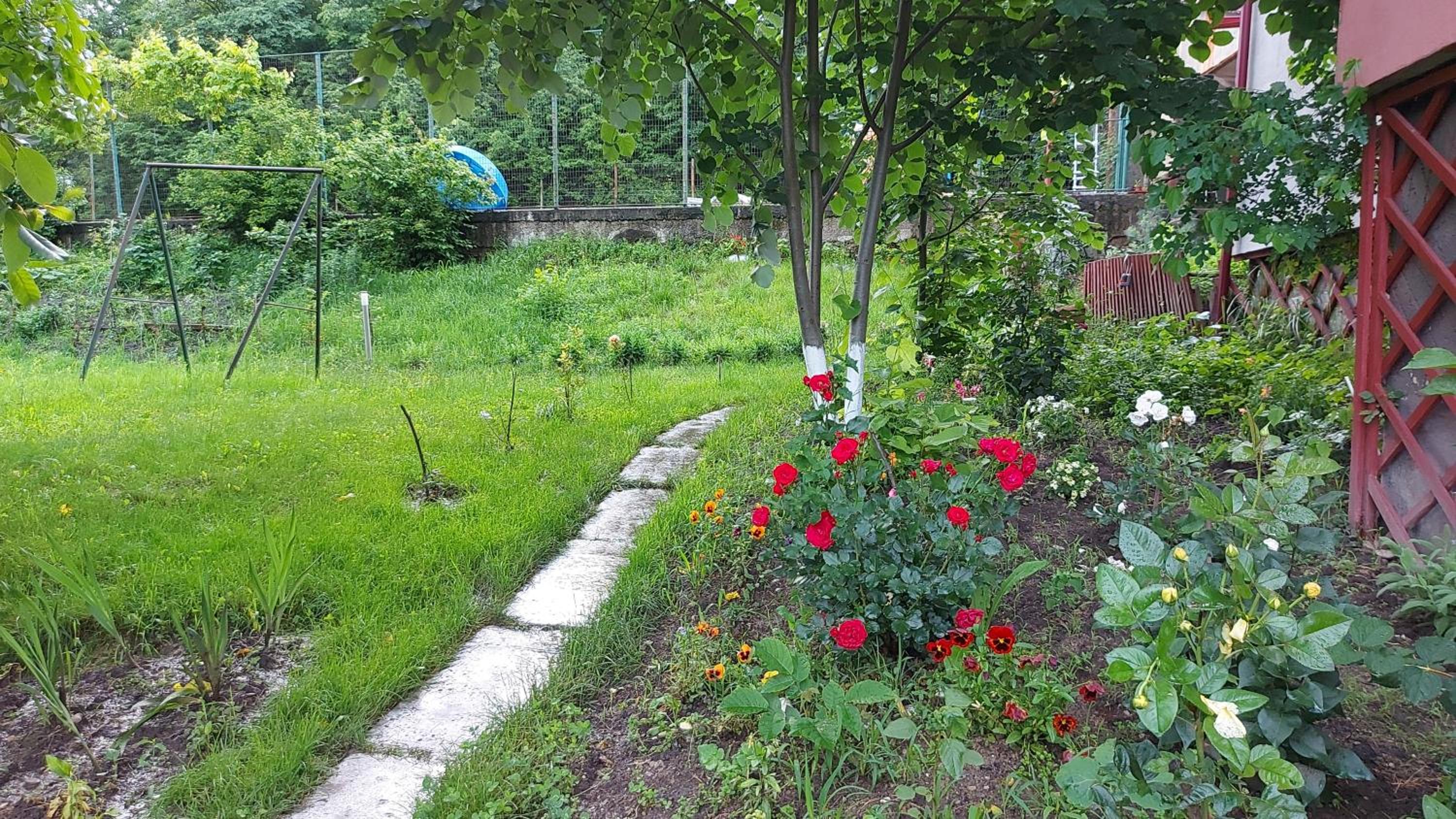 Photo 49
