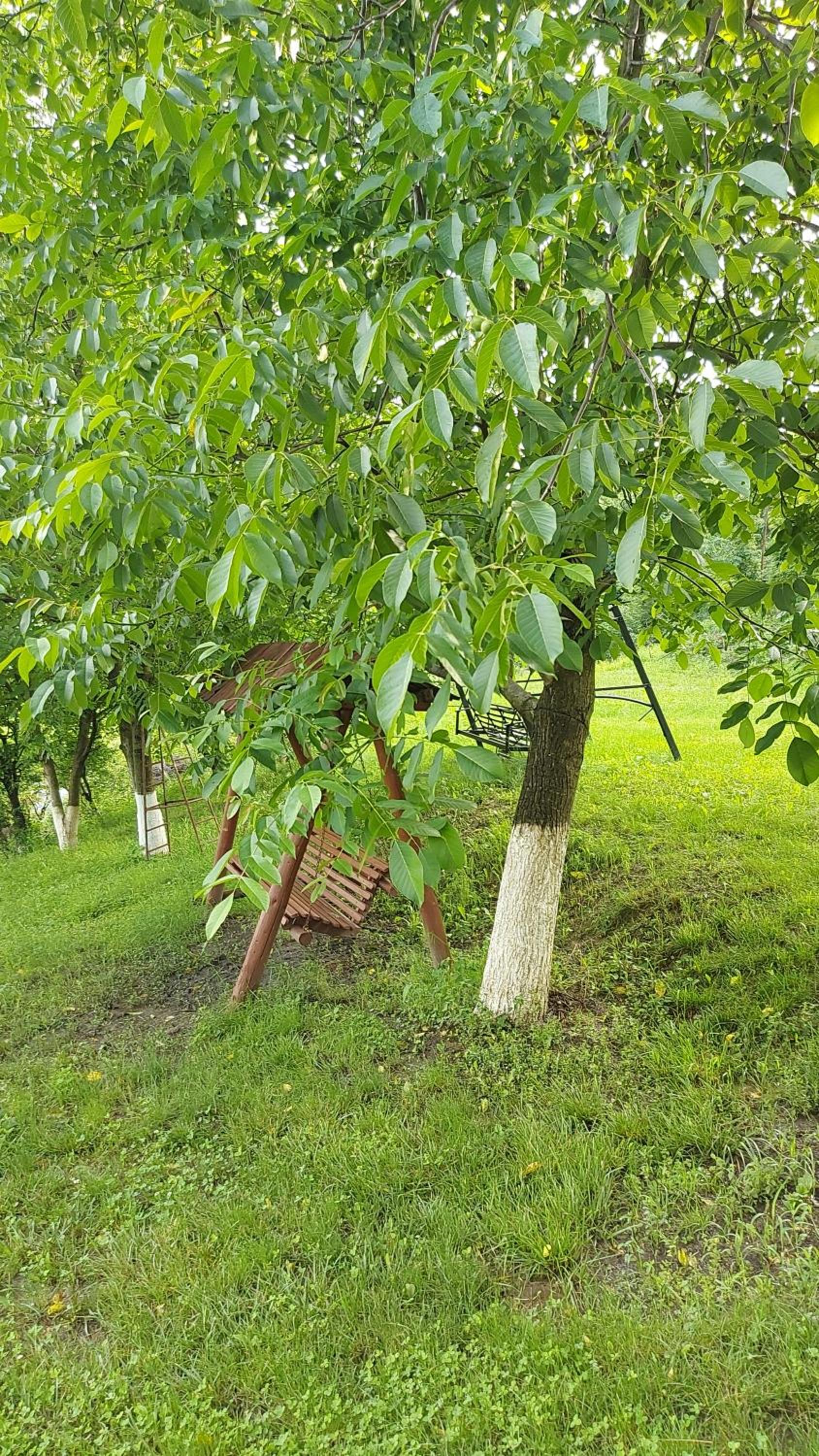 Photo 48