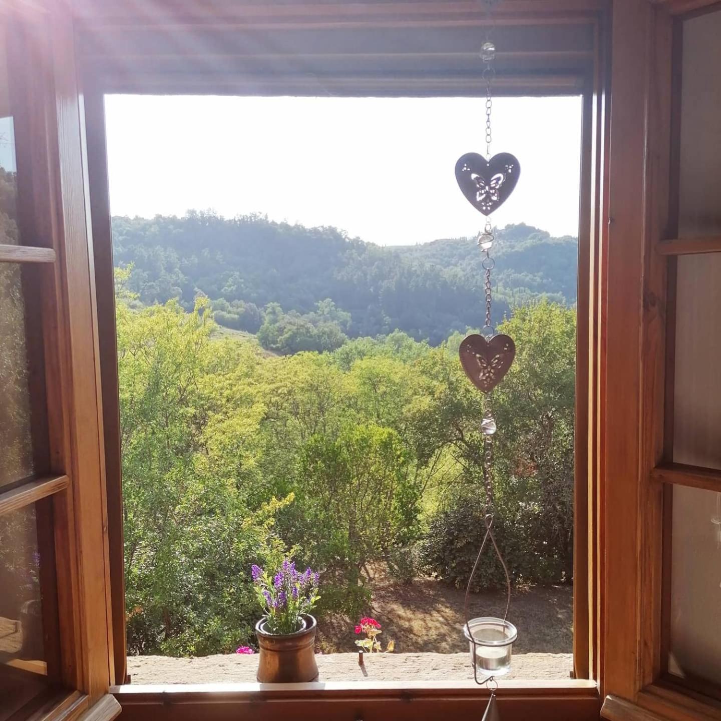 Casa nel bosco il Grottone