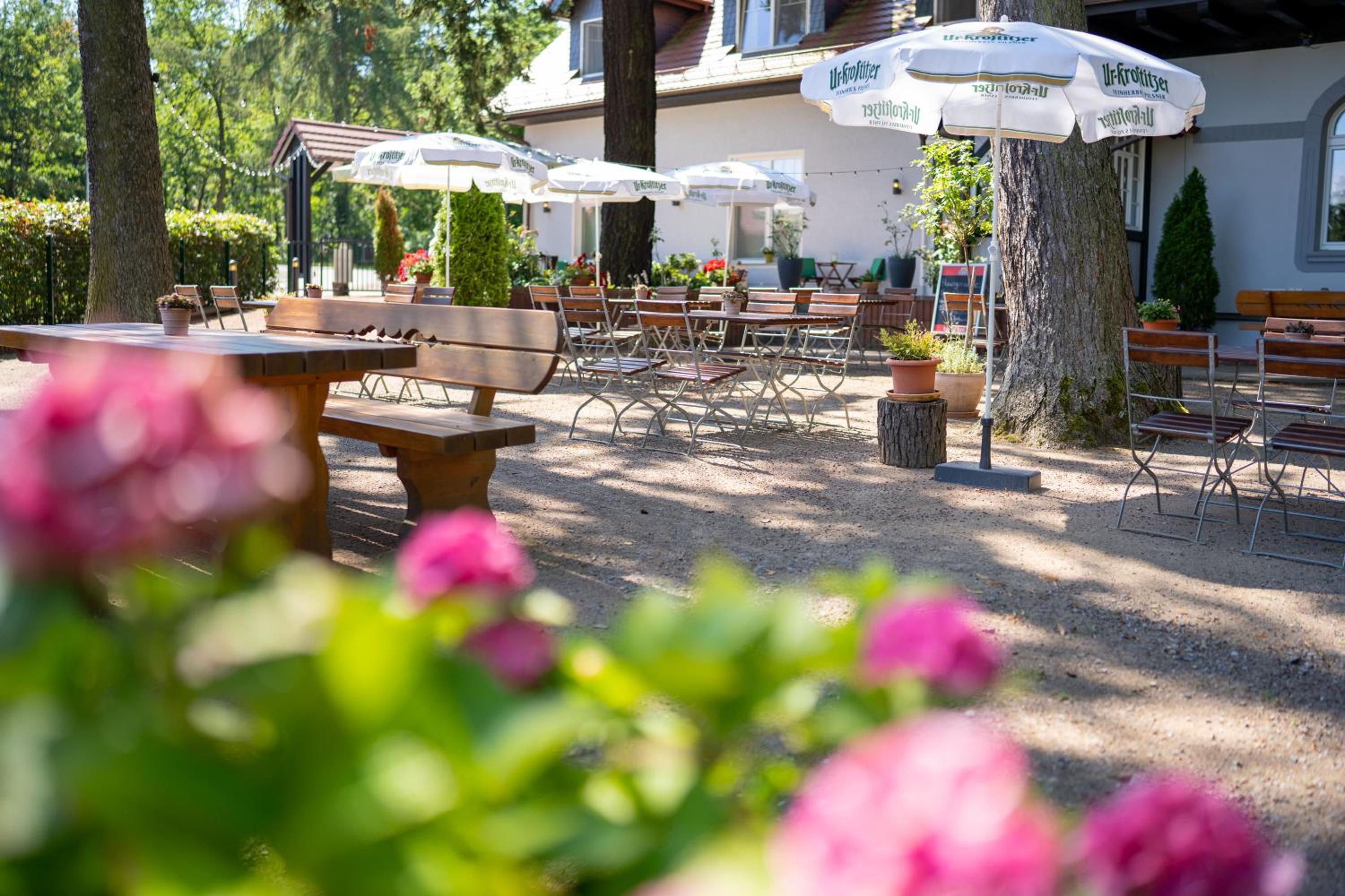 Hotel Zur Waldhufe - Property Image 19