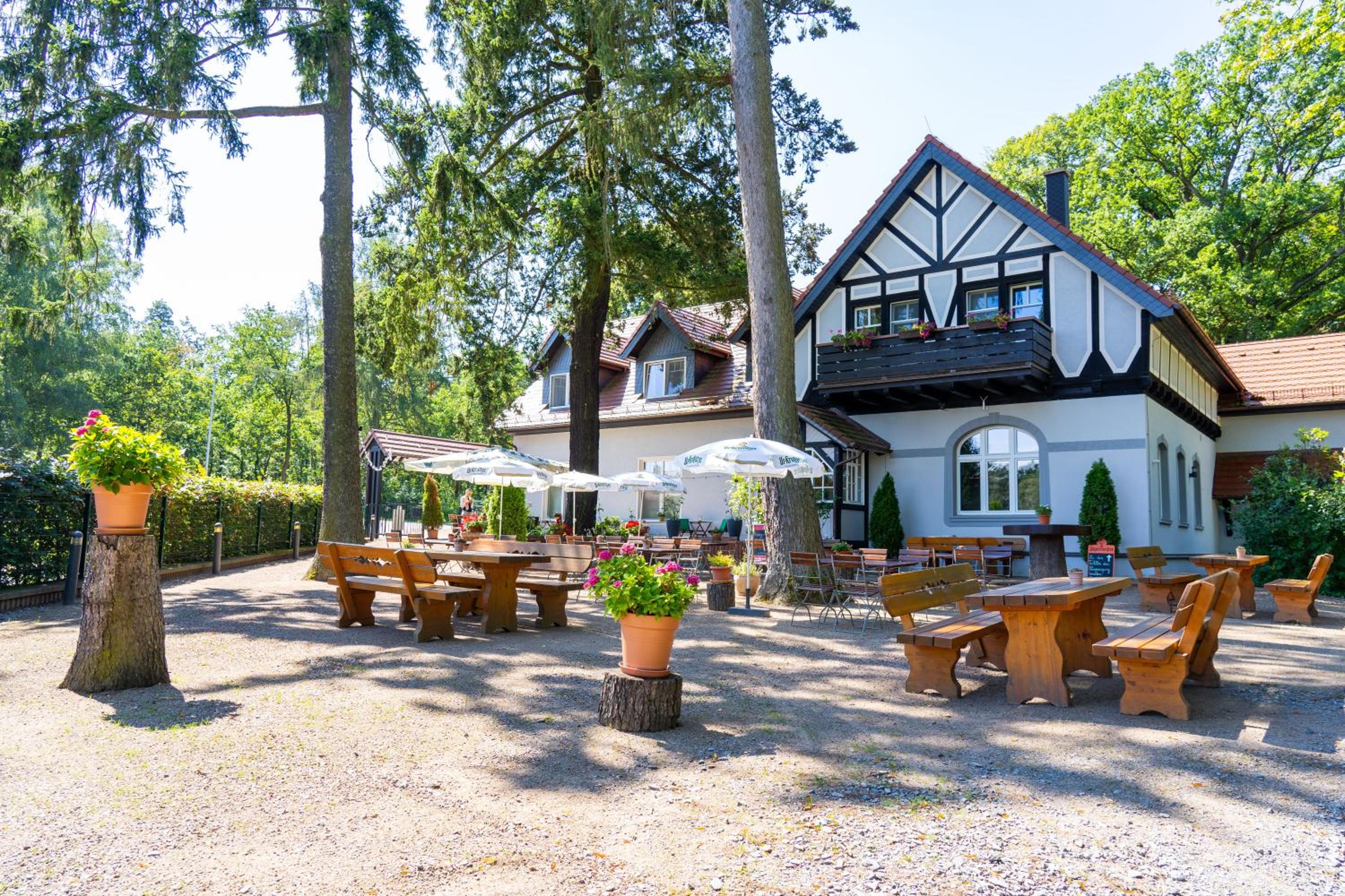 Hotel Zur Waldhufe - Property Image 23