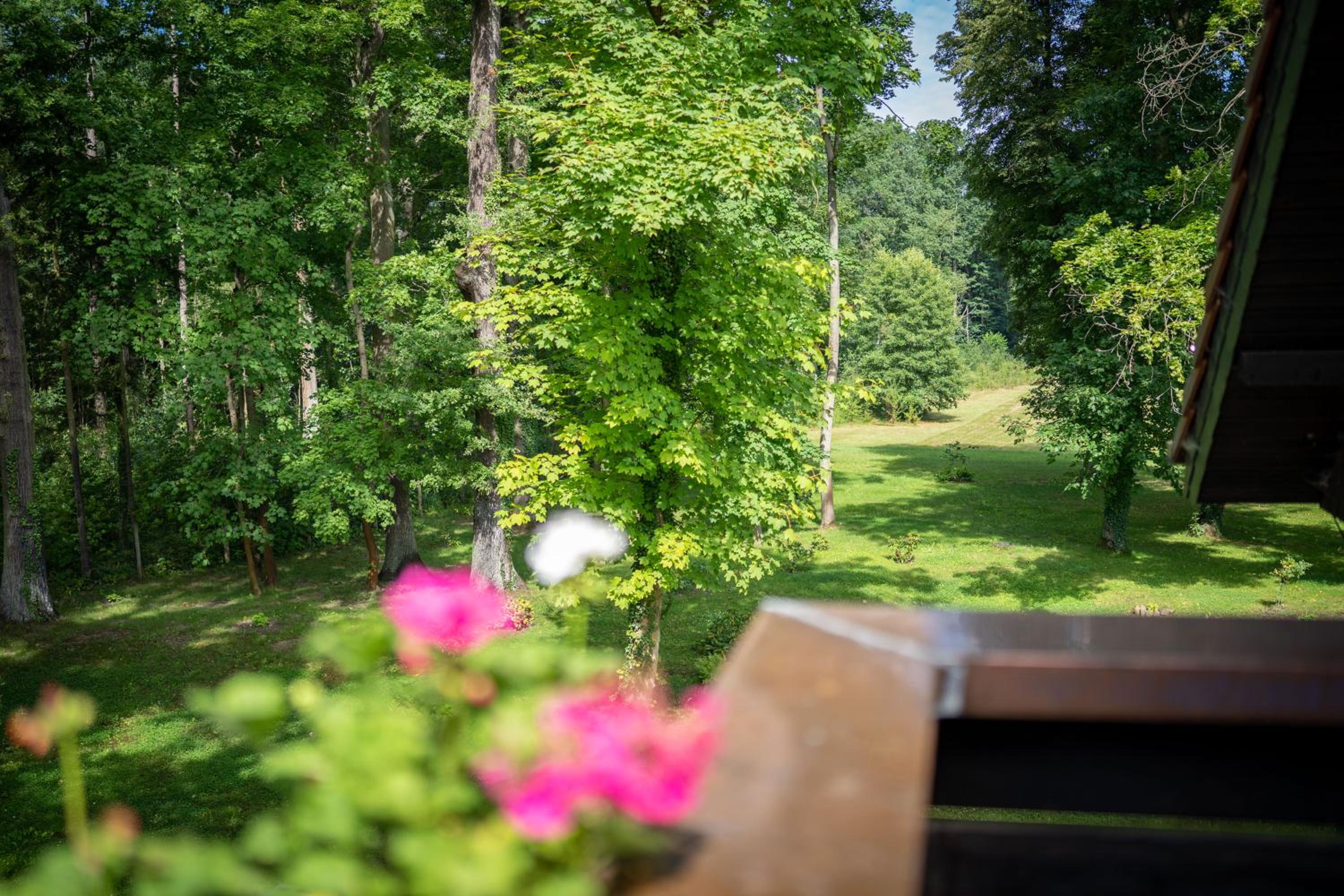 Hotel Zur Waldhufe - Property Image 39