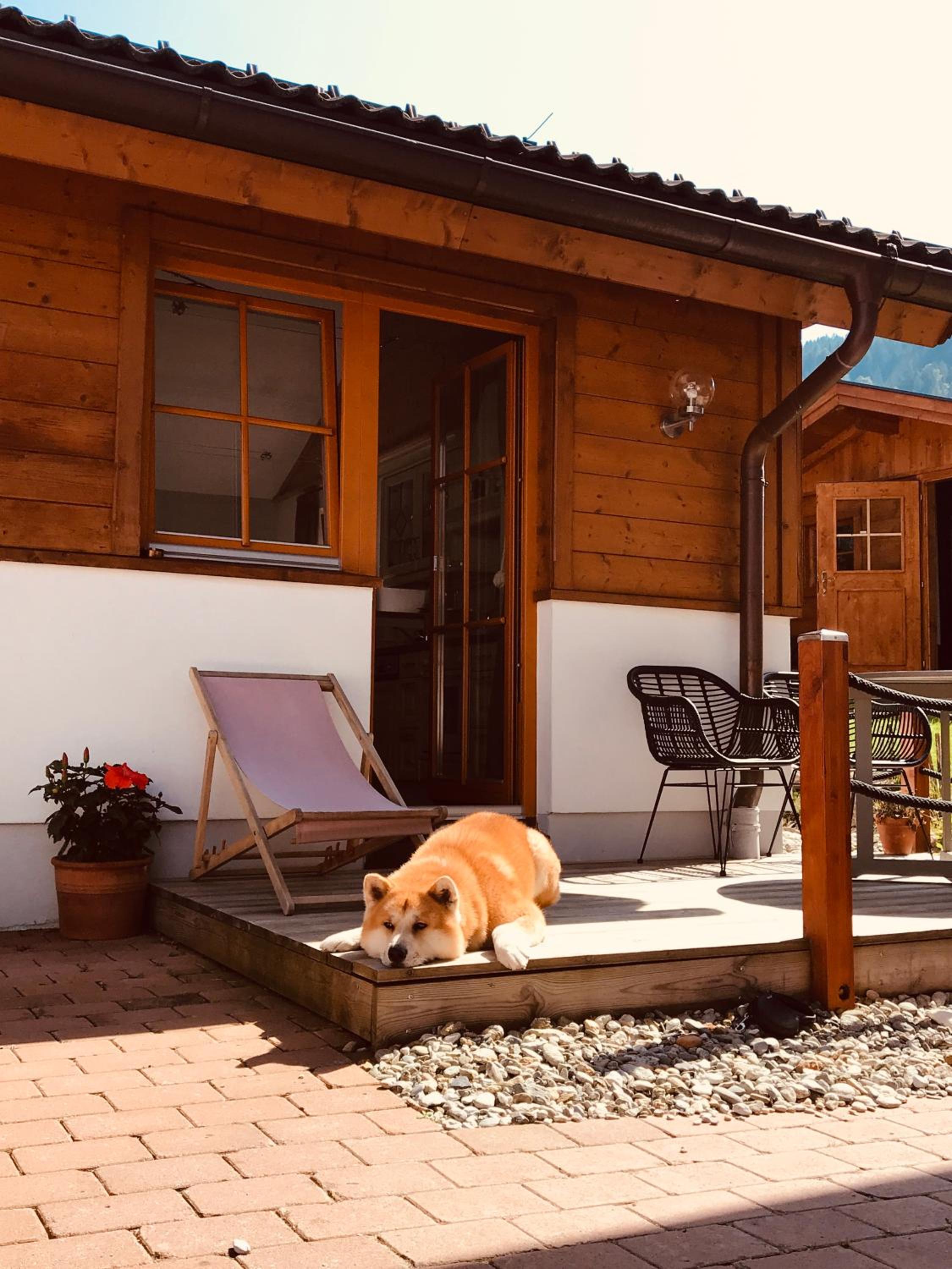 Dorfchalets & Apartments - in Kaprun centre including FREE entry Tauern Spa and Summer Card