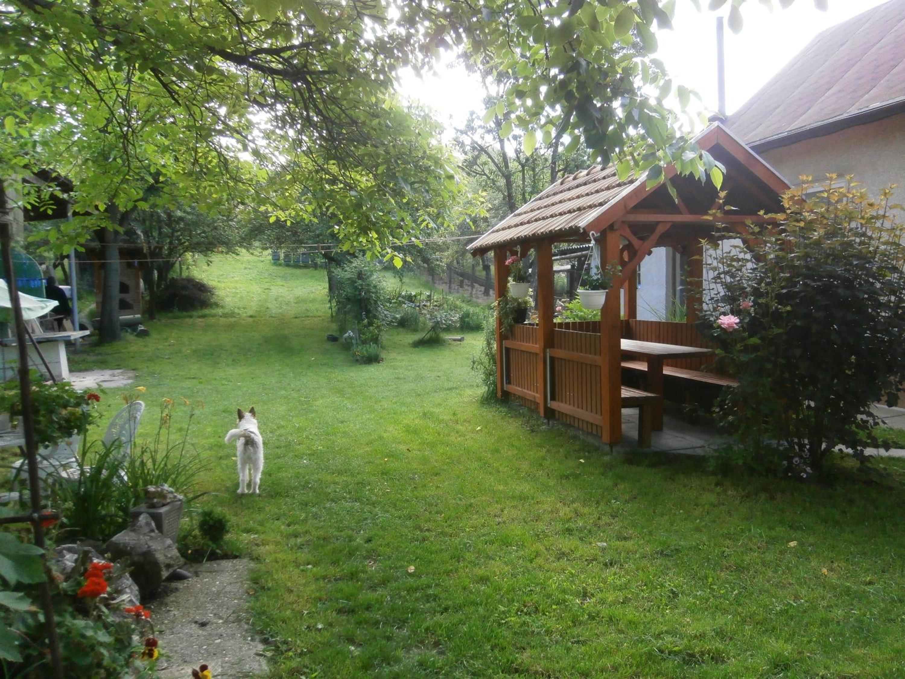 Csikász Vendégház view 3