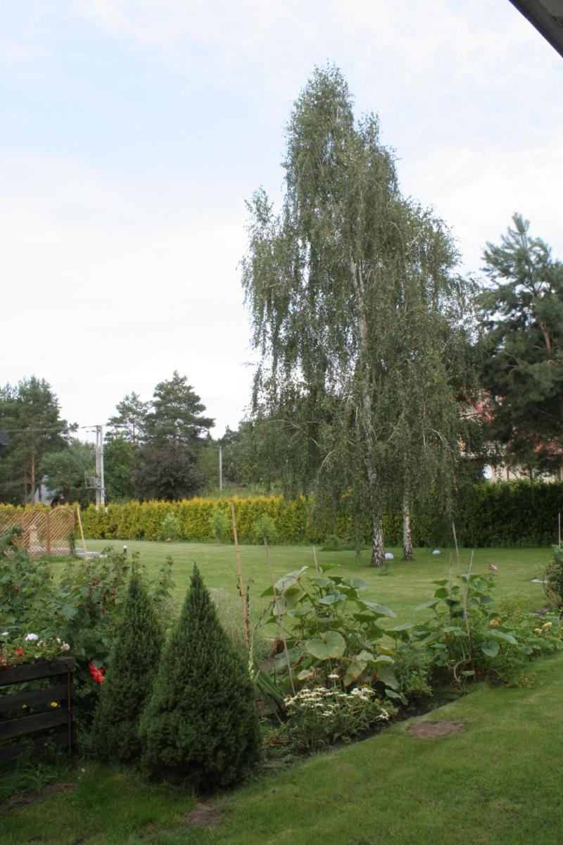 Photo 30