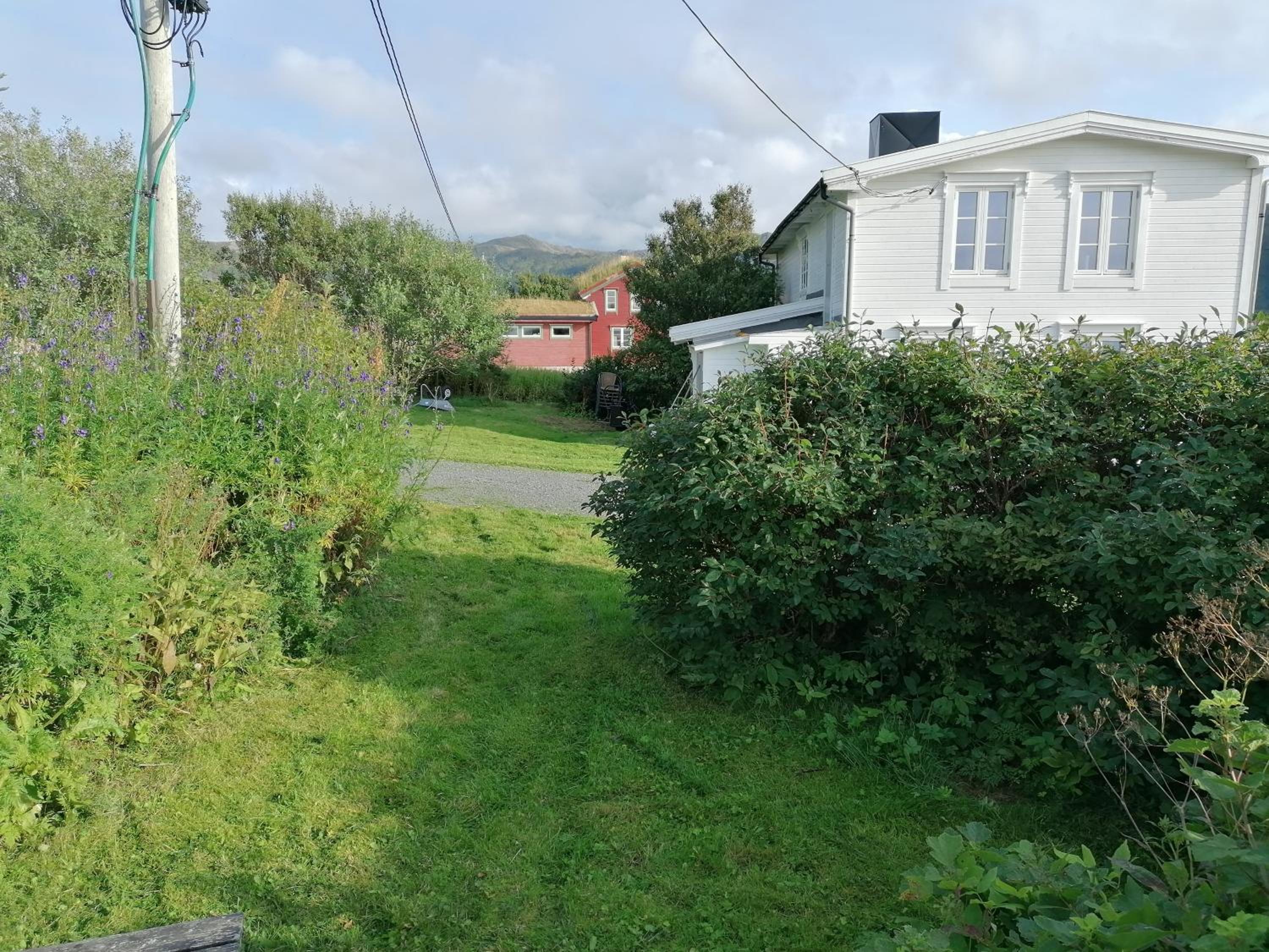 Photo 42