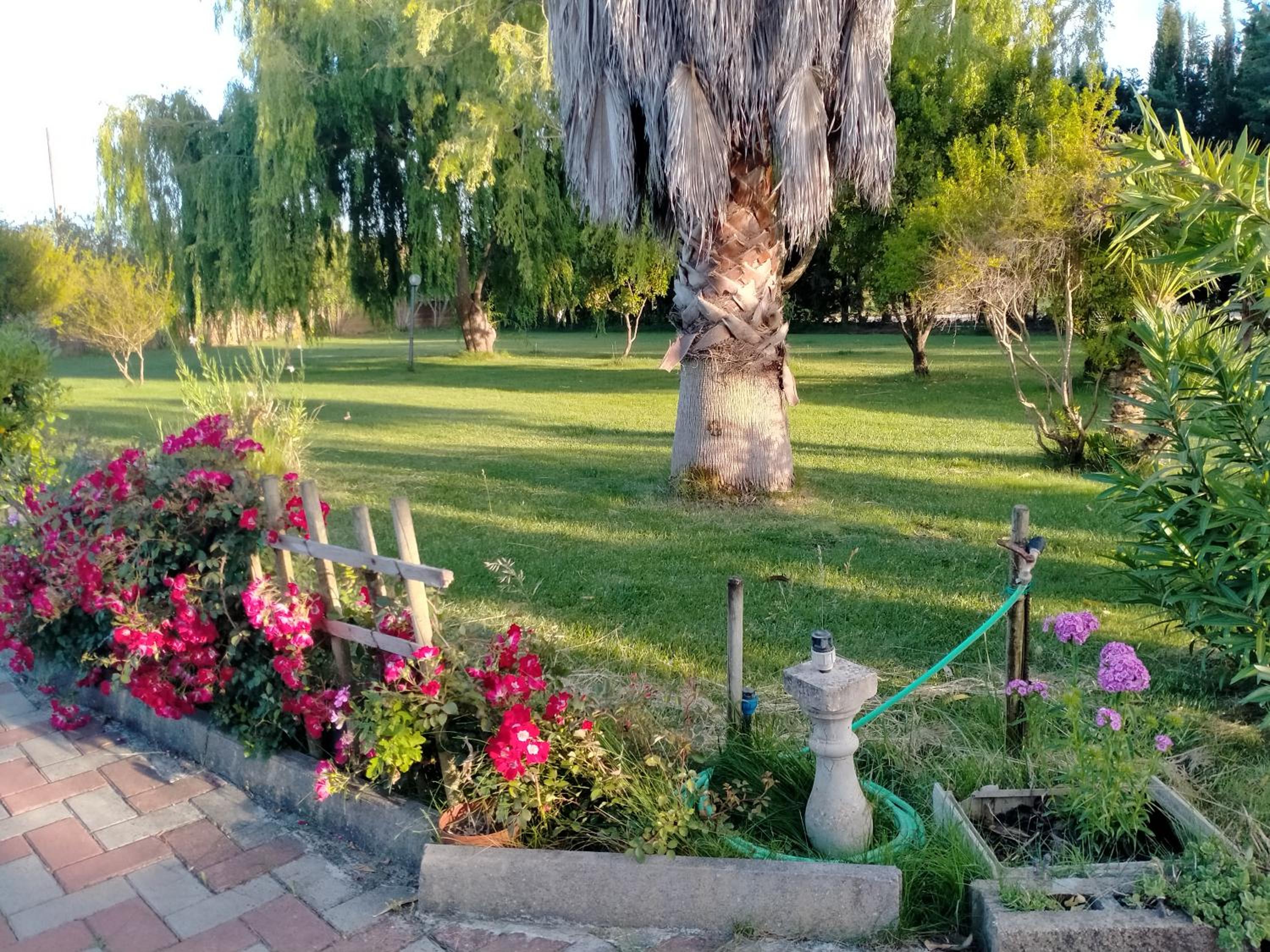 Photo 28