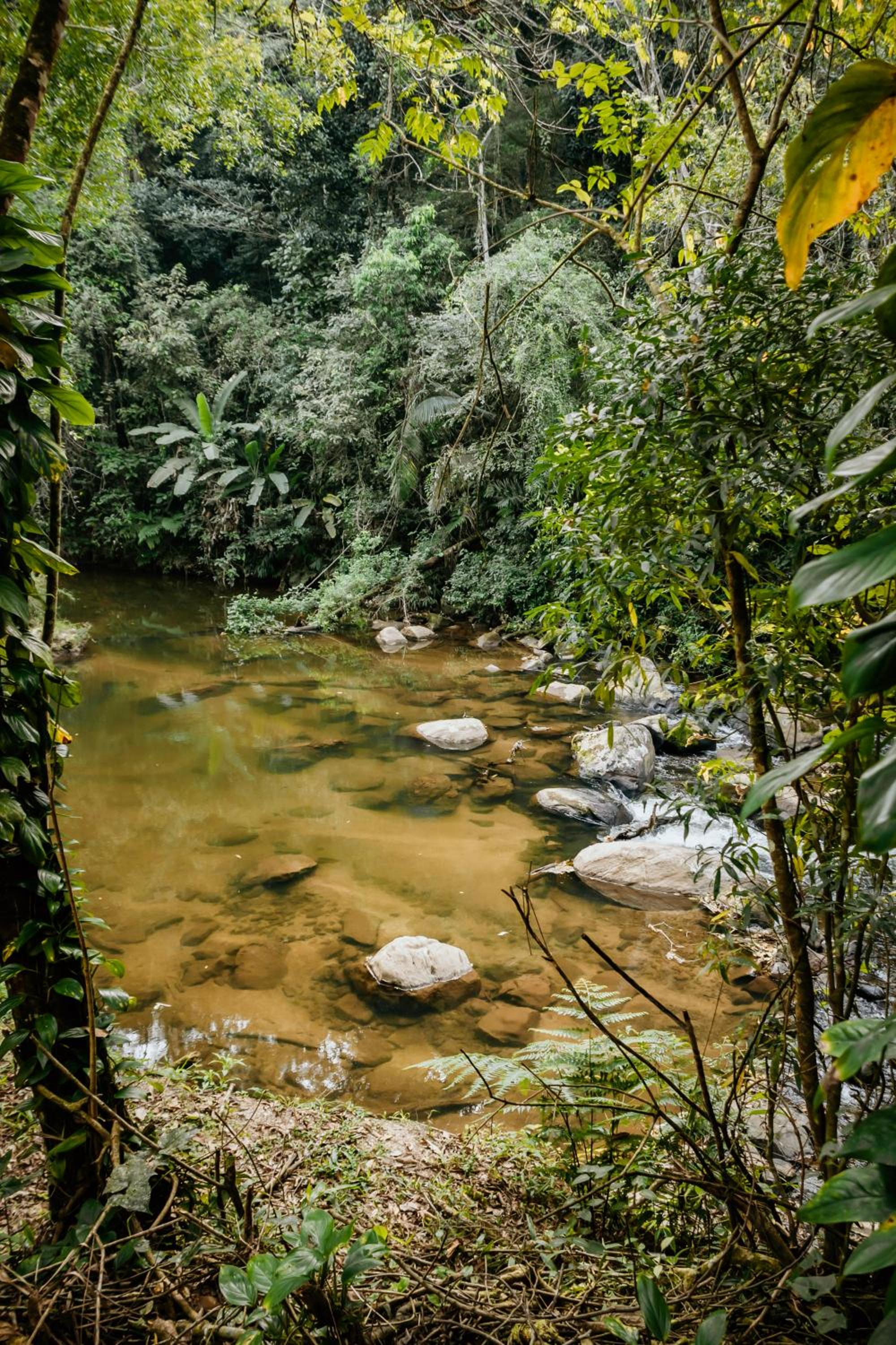 EcoLodge Paraty