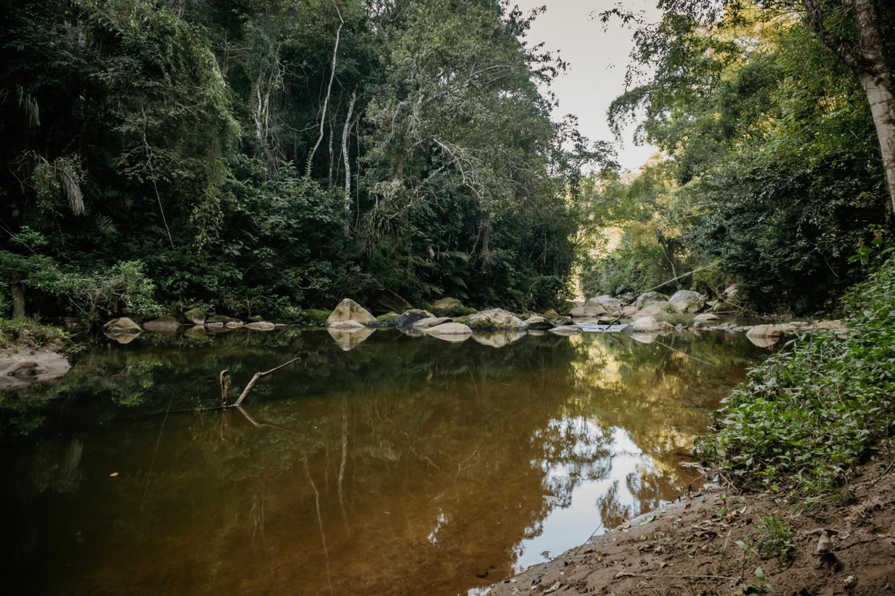 EcoLodge Paraty