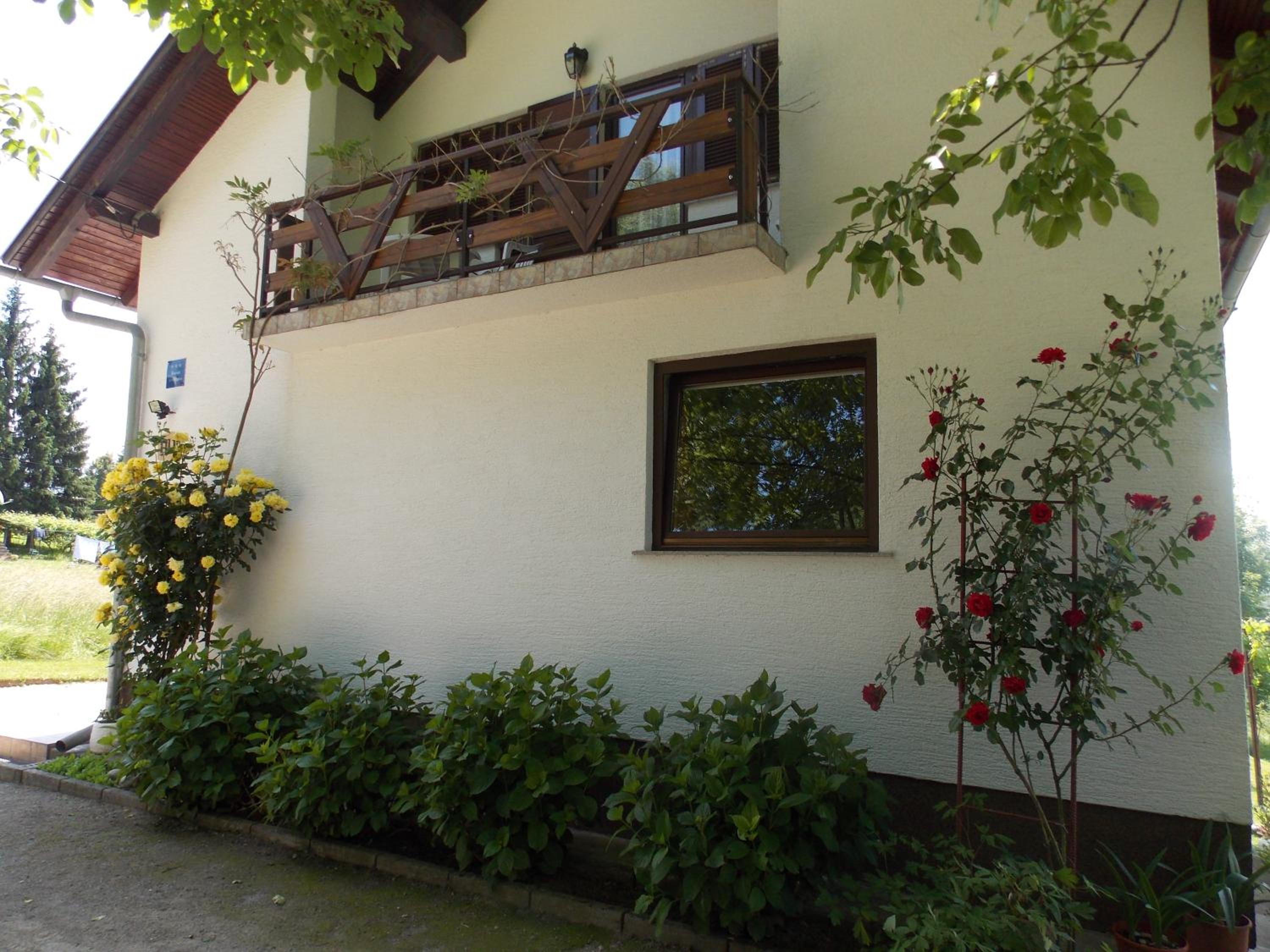 Apartments Smirnov