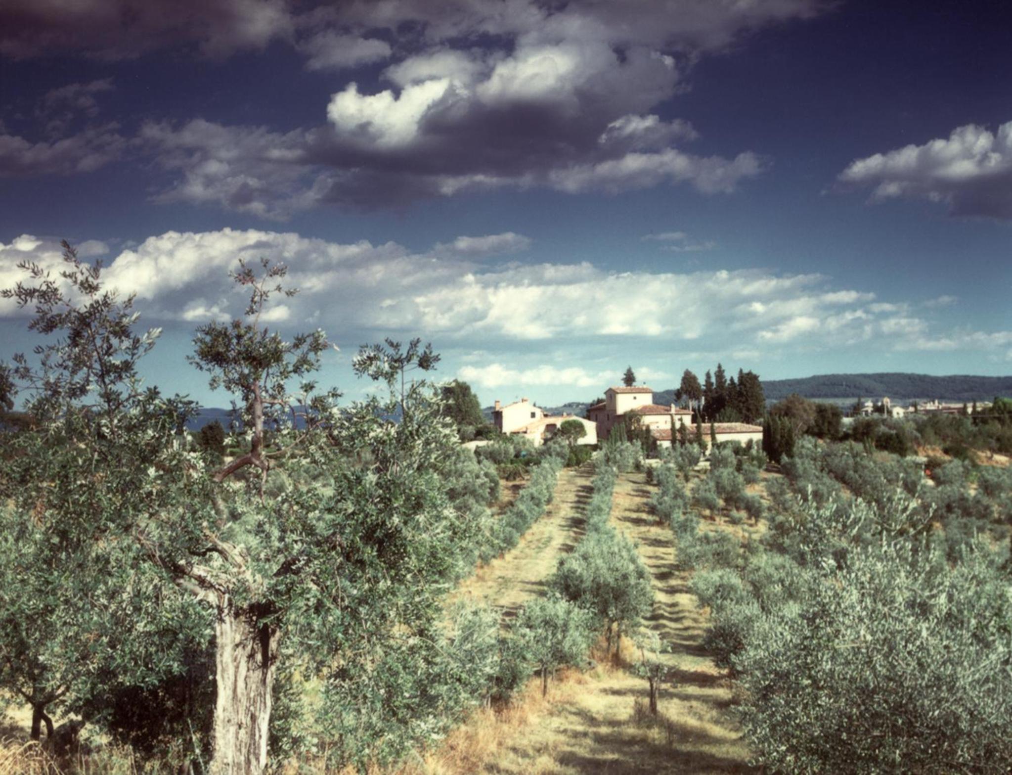 Il Borghetto Country Inn
