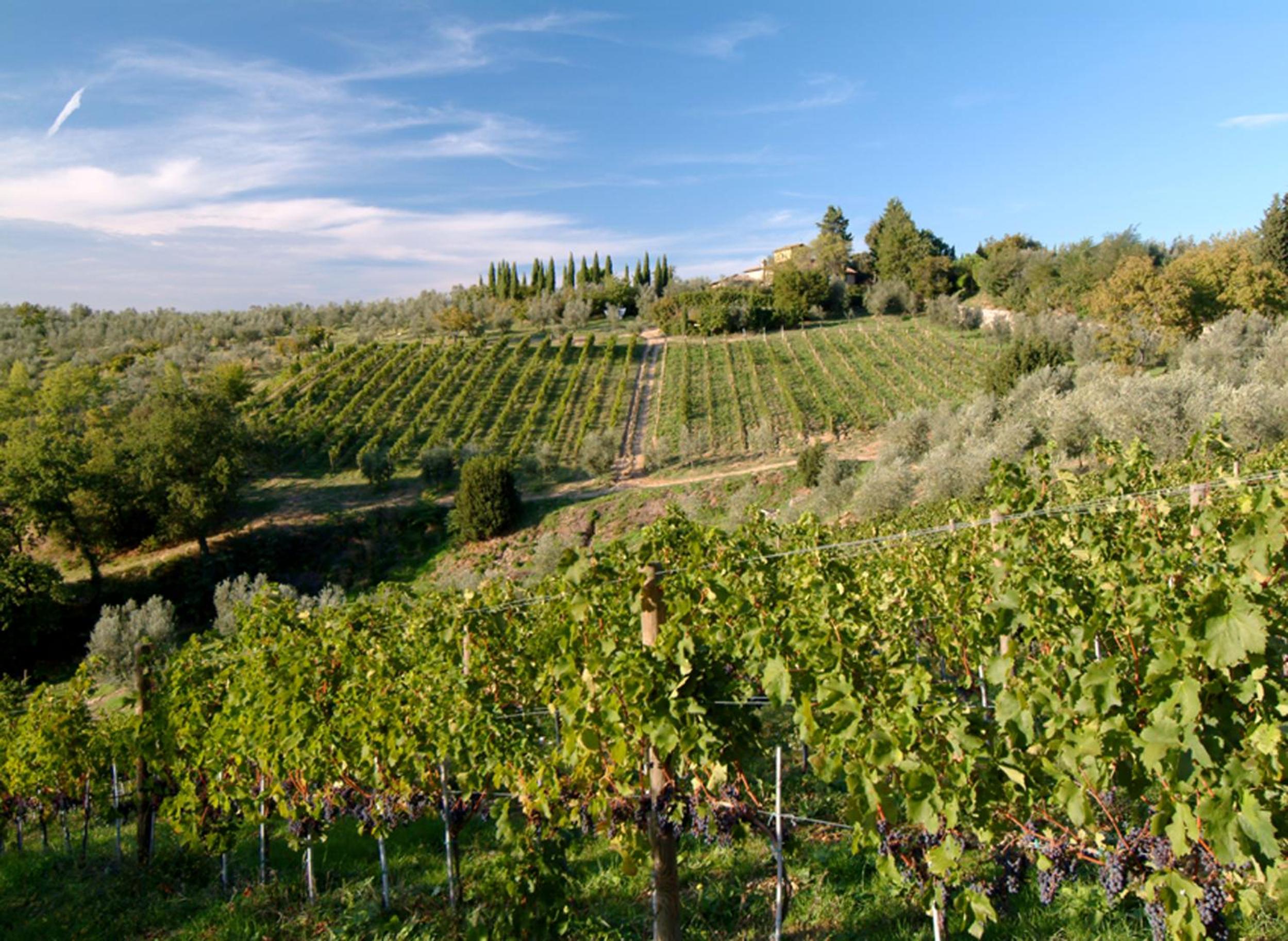 Il Borghetto Country Inn