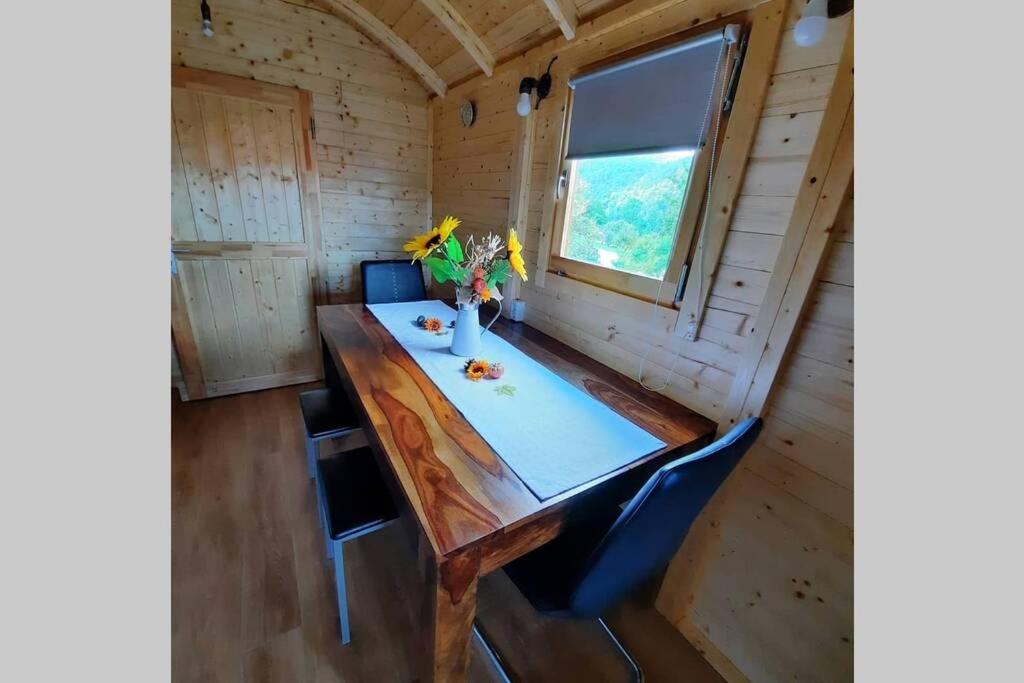 Autarkes Tiny House mit Rheinblick view 5