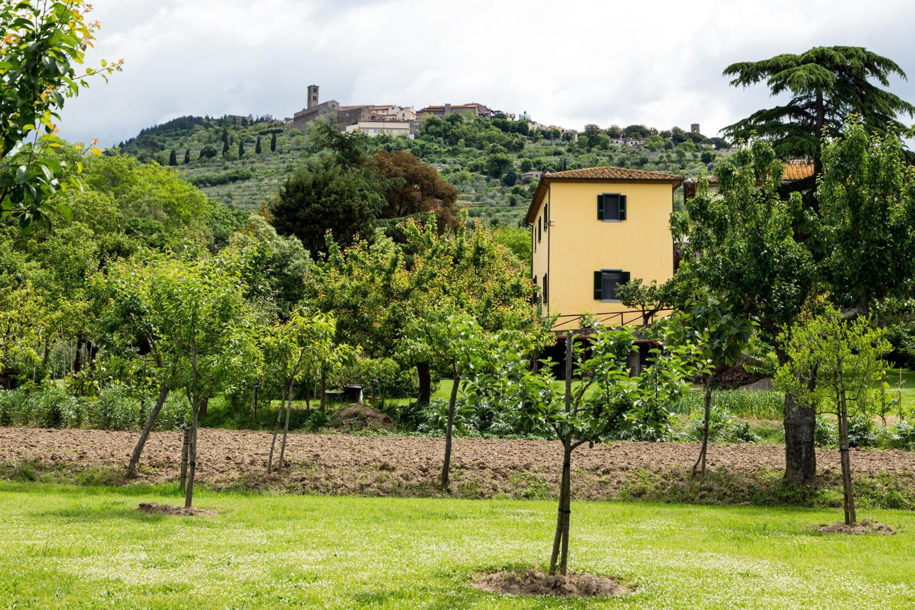 Casale Vacanze Il Granaio view 5