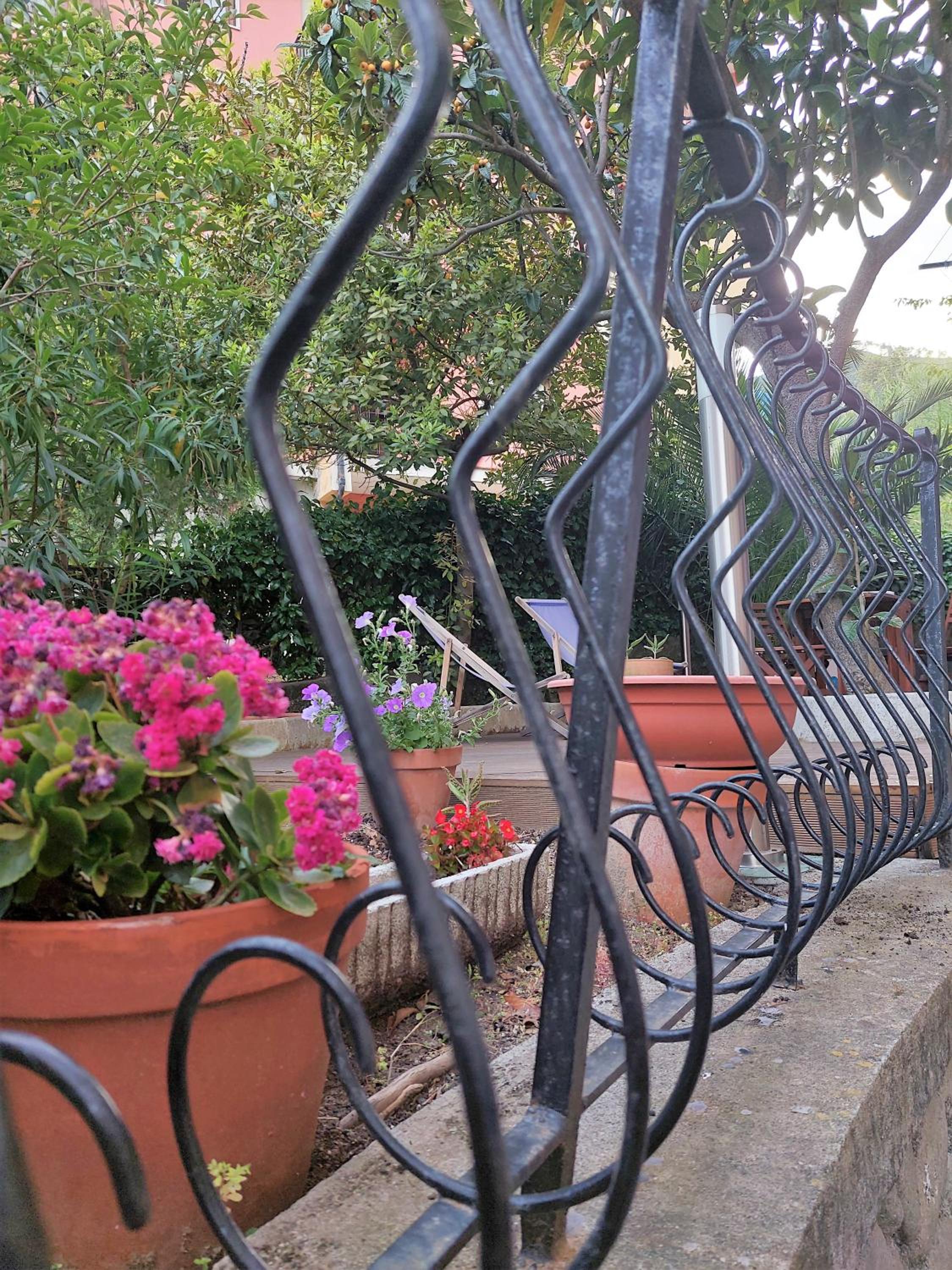 Albamare photo 4