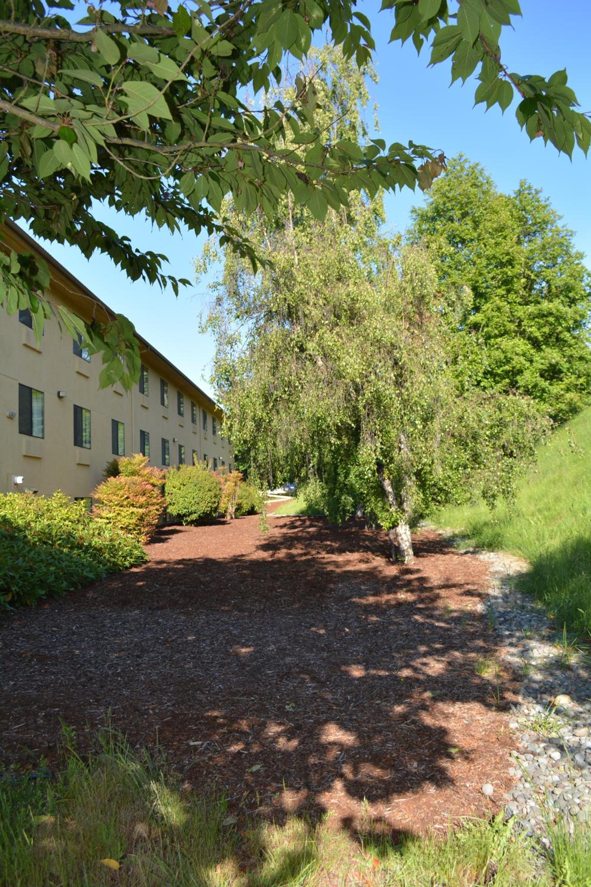 Photo 32