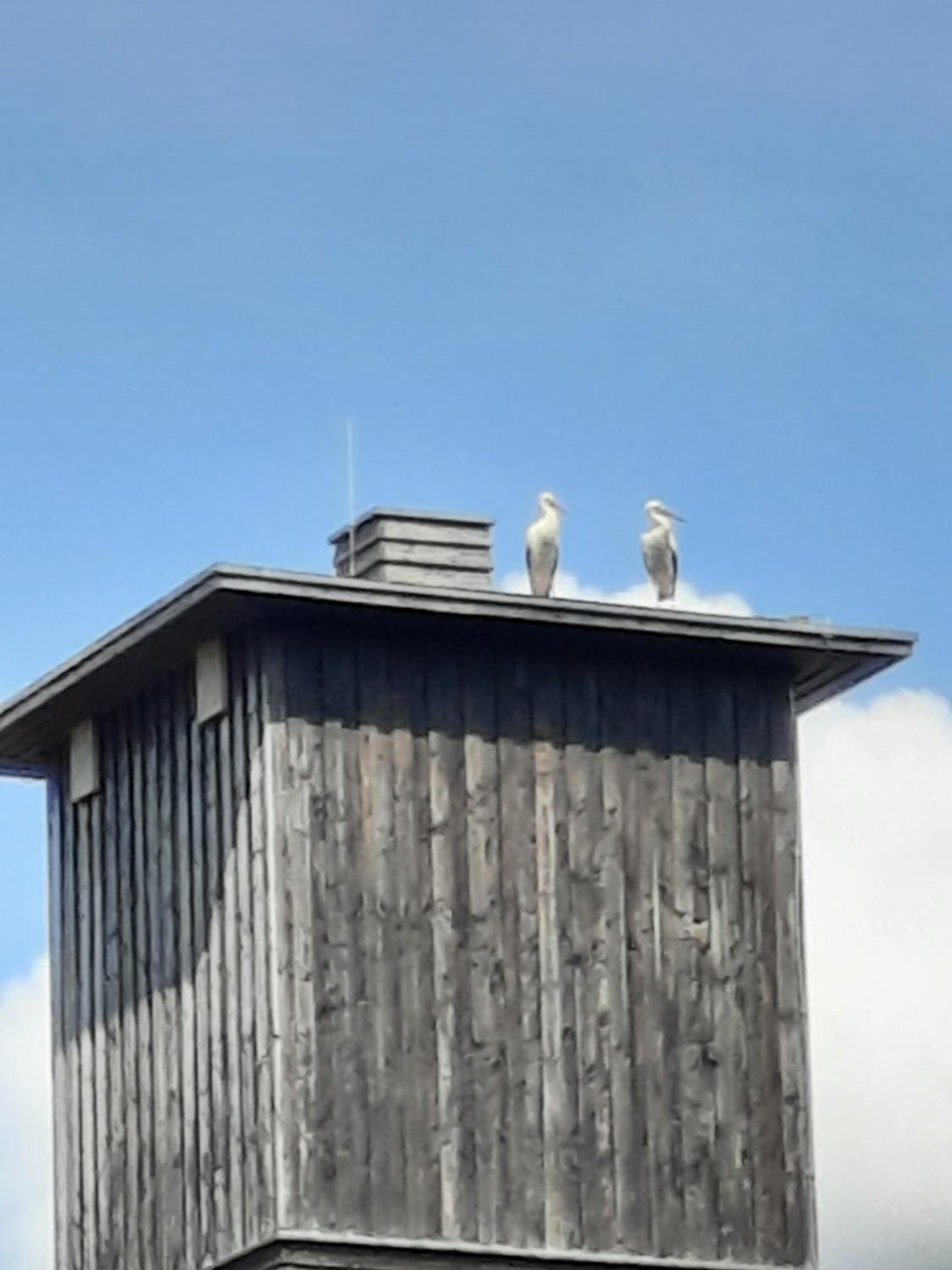 Ferienwohnung am Schloss view 5