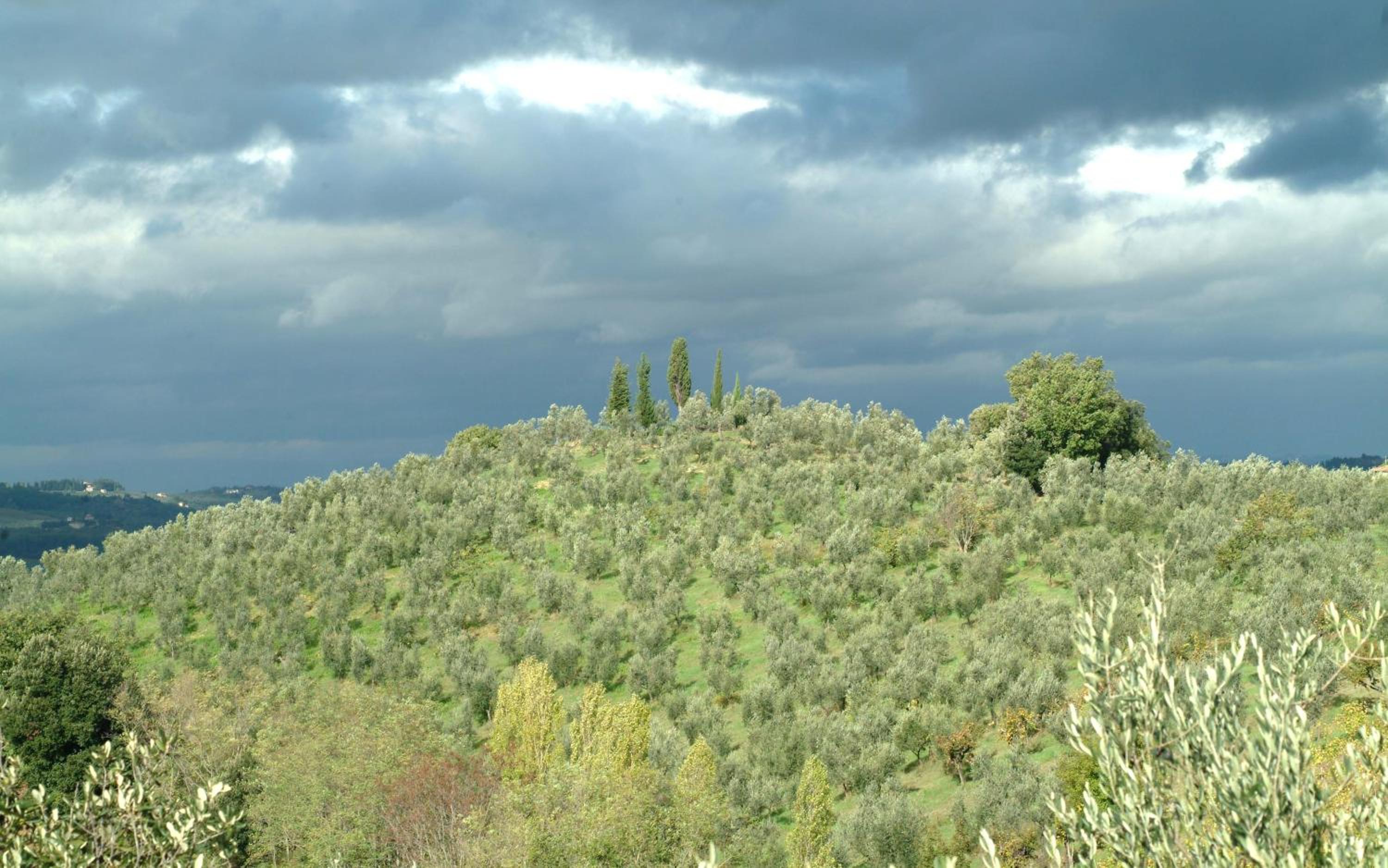 Il Borghetto Country Inn