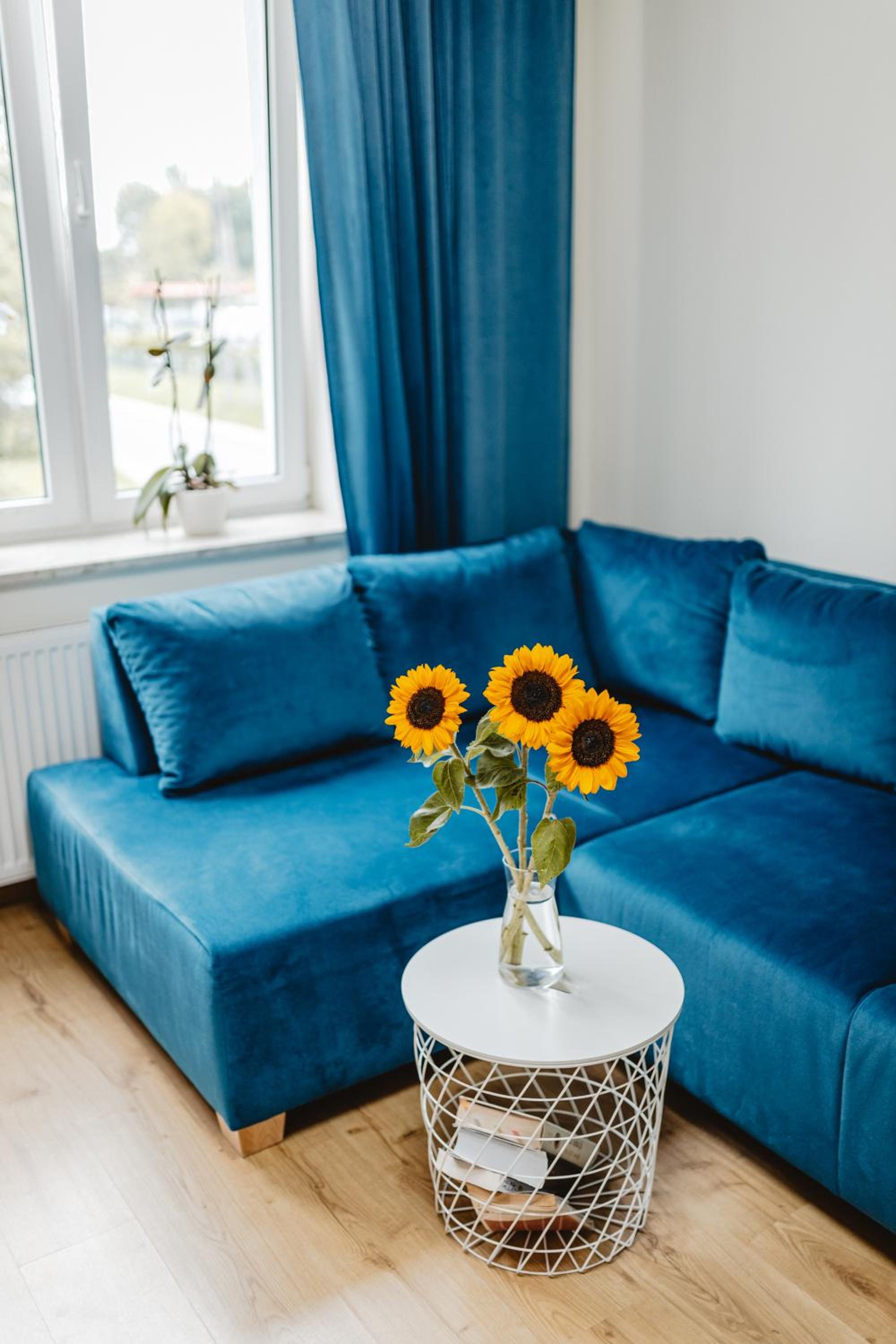 Apartament Blue view 5