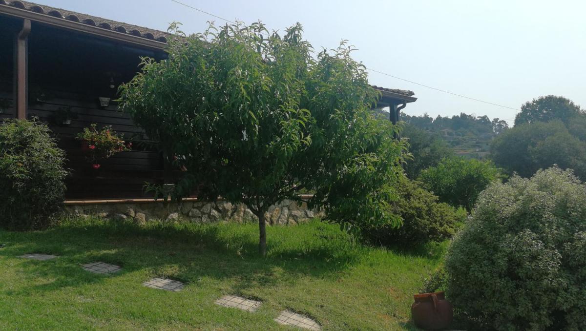 VILLA LAURA photo 2