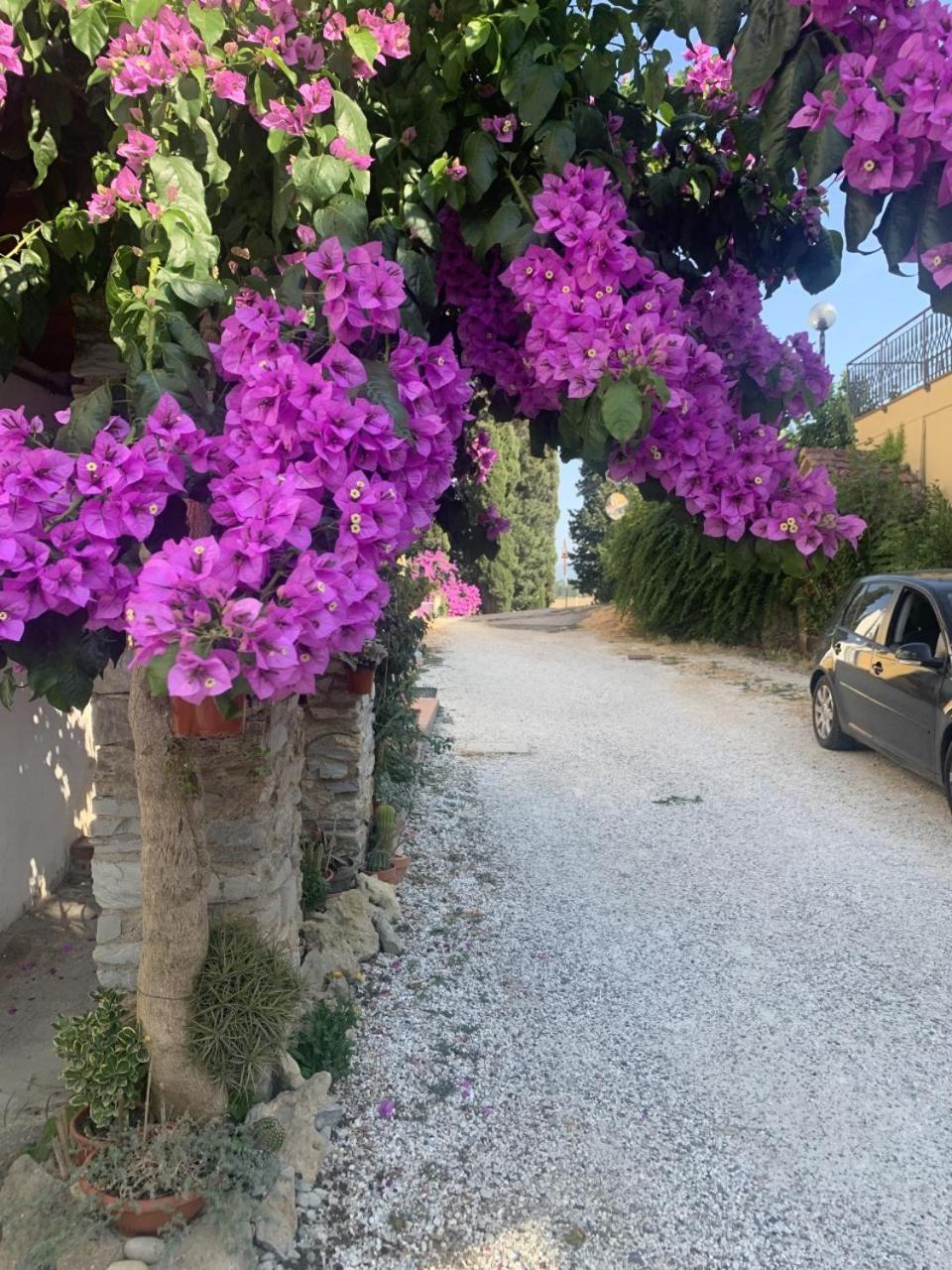 La Lanterna view 3